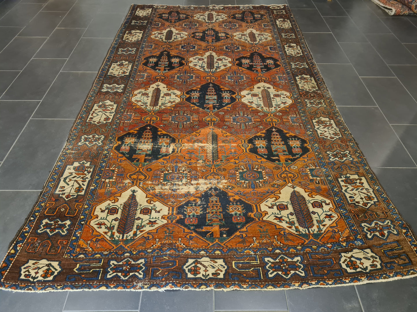 Perserteppich Orientteppich Handgeknüpfter Teppich Bachtiar 320x195cm