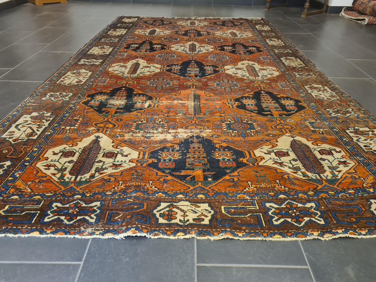 Perserteppich Orientteppich Handgeknüpfter Teppich Bachtiar 320x195cm