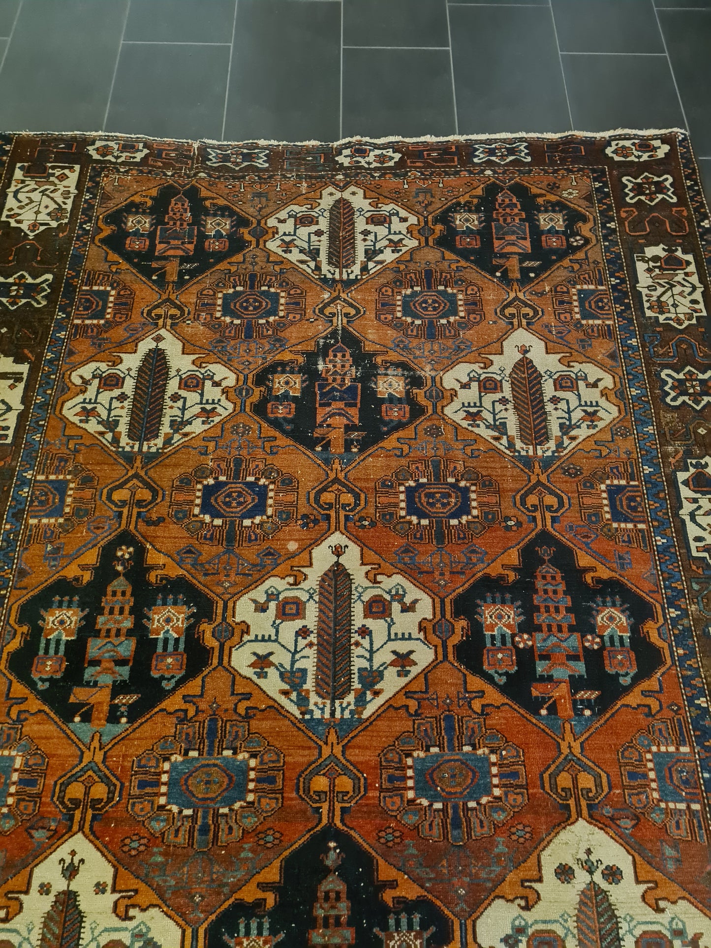 Perserteppich Orientteppich Handgeknüpfter Teppich Bachtiar 320x195cm