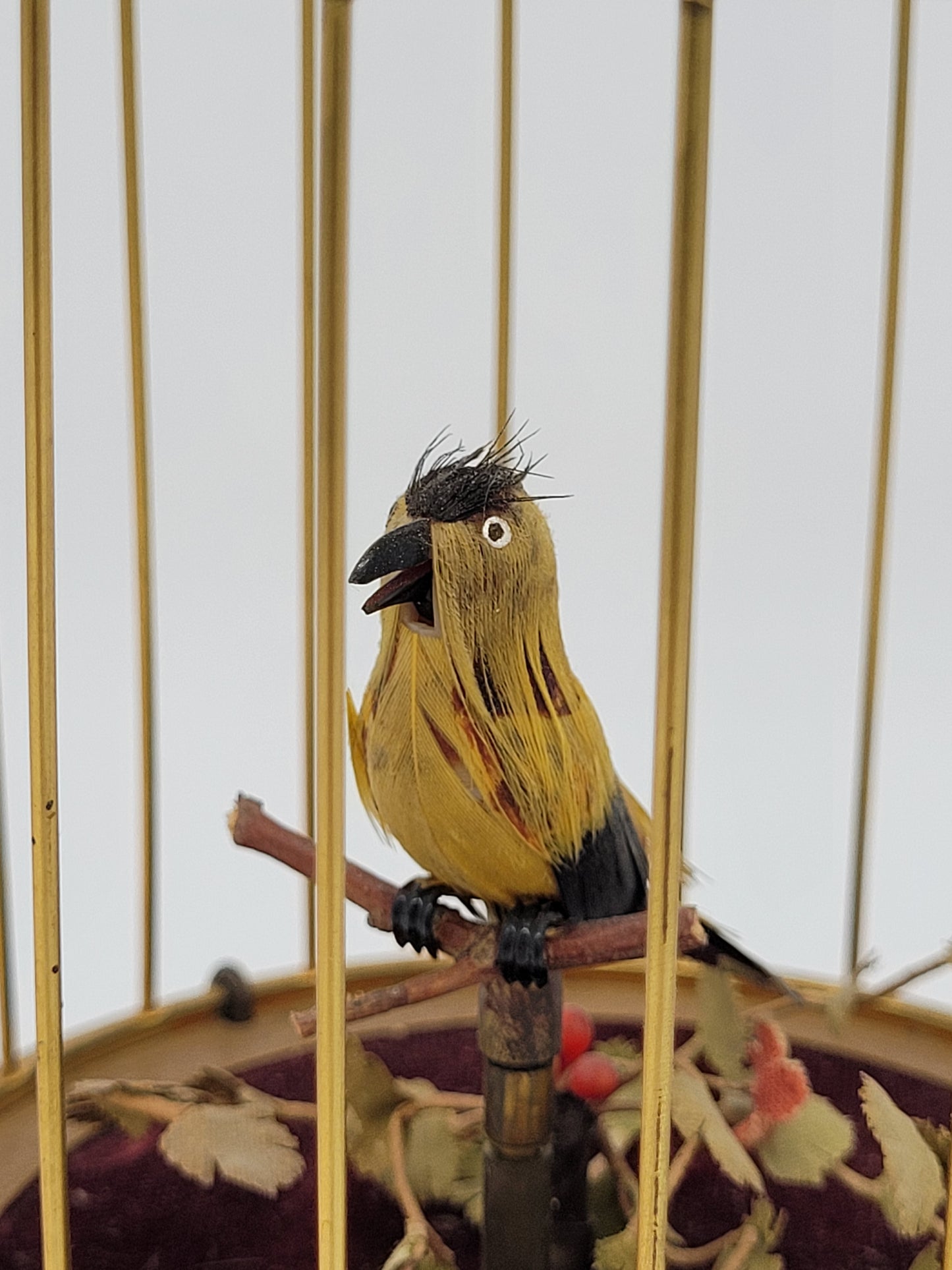 Singvogelautomat Spieluhr Griesbaum Singender Vogel im Käfig Vintage