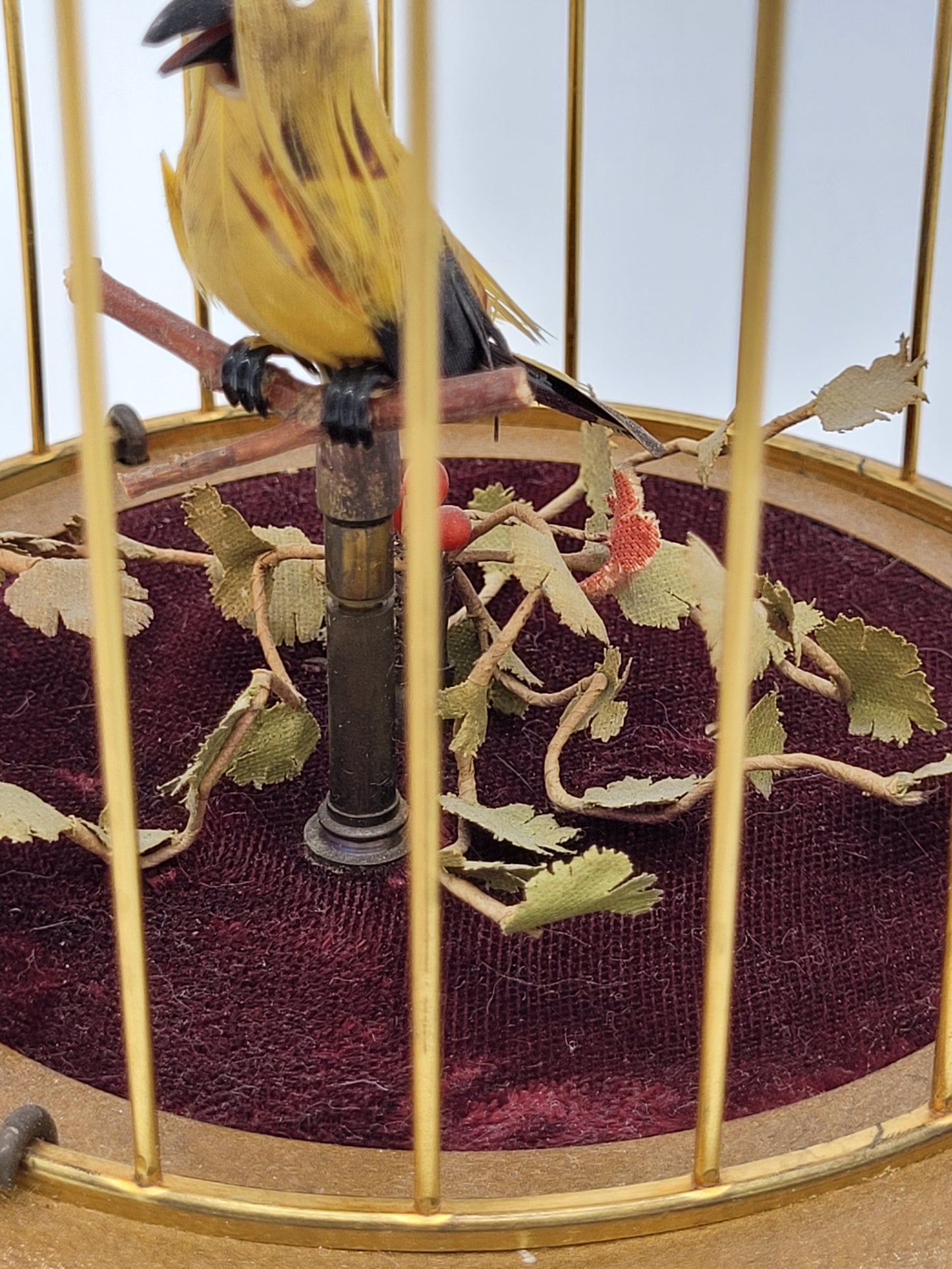 Singvogelautomat Spieluhr Griesbaum Singender Vogel im Käfig Vintage