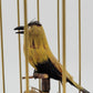 Singvogelautomat Spieluhr Griesbaum Singender Vogel im Käfig Vintage