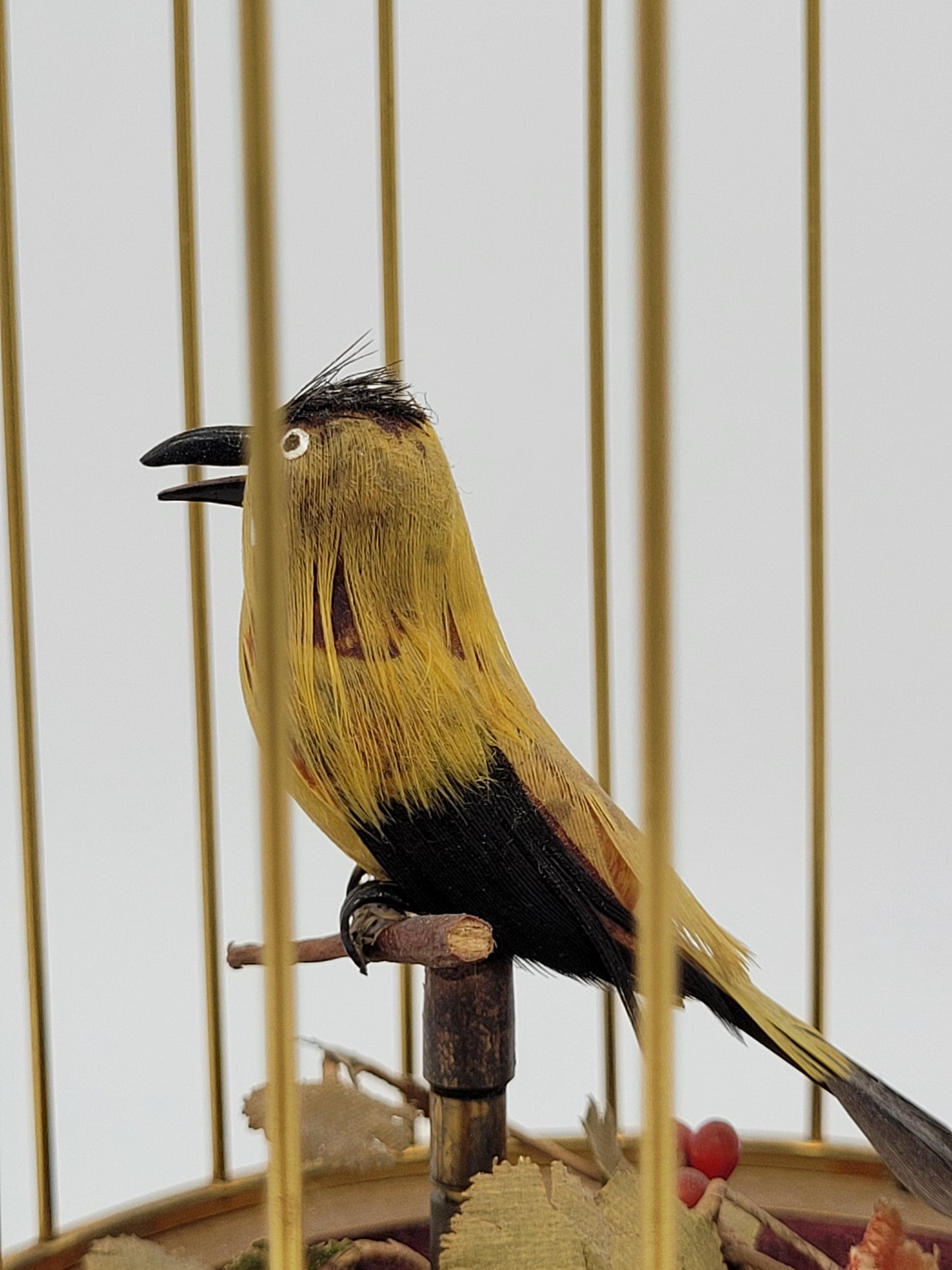 Singvogelautomat Spieluhr Griesbaum Singender Vogel im Käfig Vintage