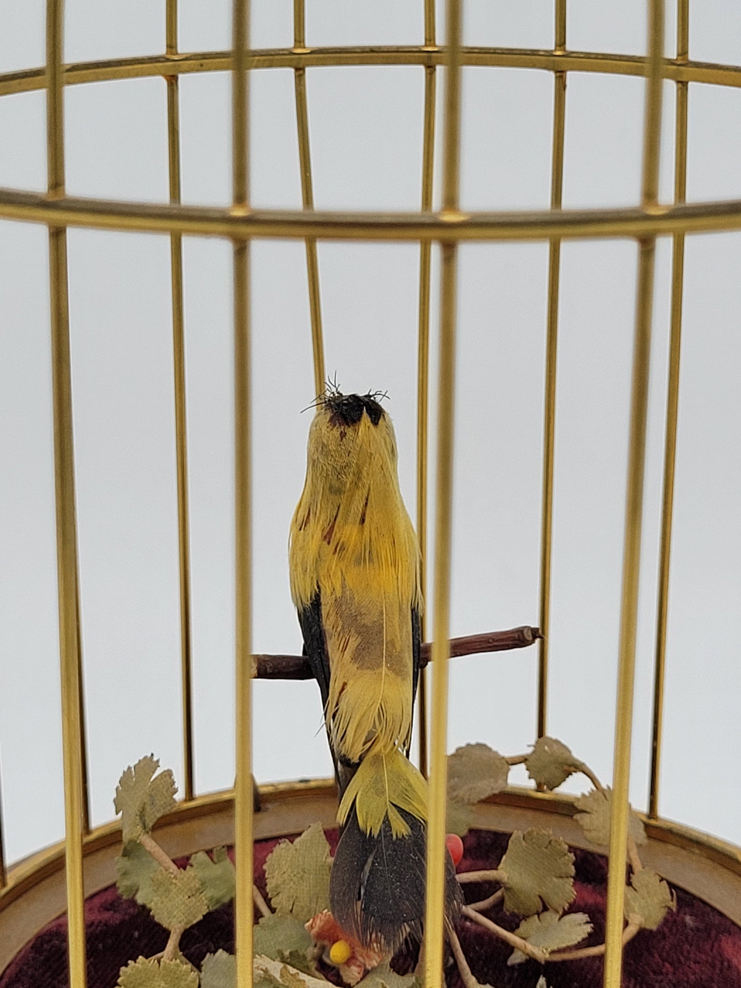 Singvogelautomat Spieluhr Griesbaum Singender Vogel im Käfig Vintage