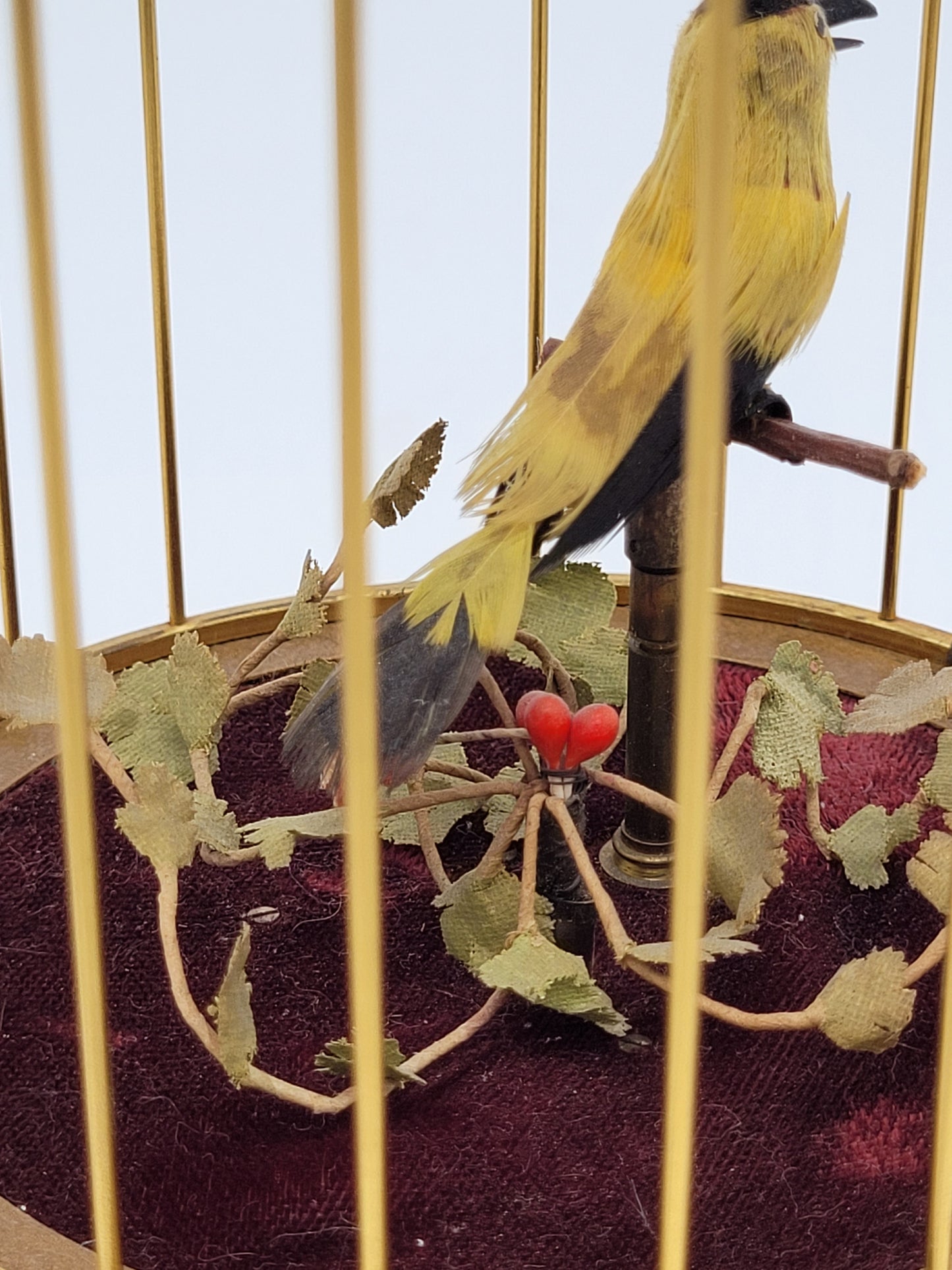 Singvogelautomat Spieluhr Griesbaum Singender Vogel im Käfig Vintage