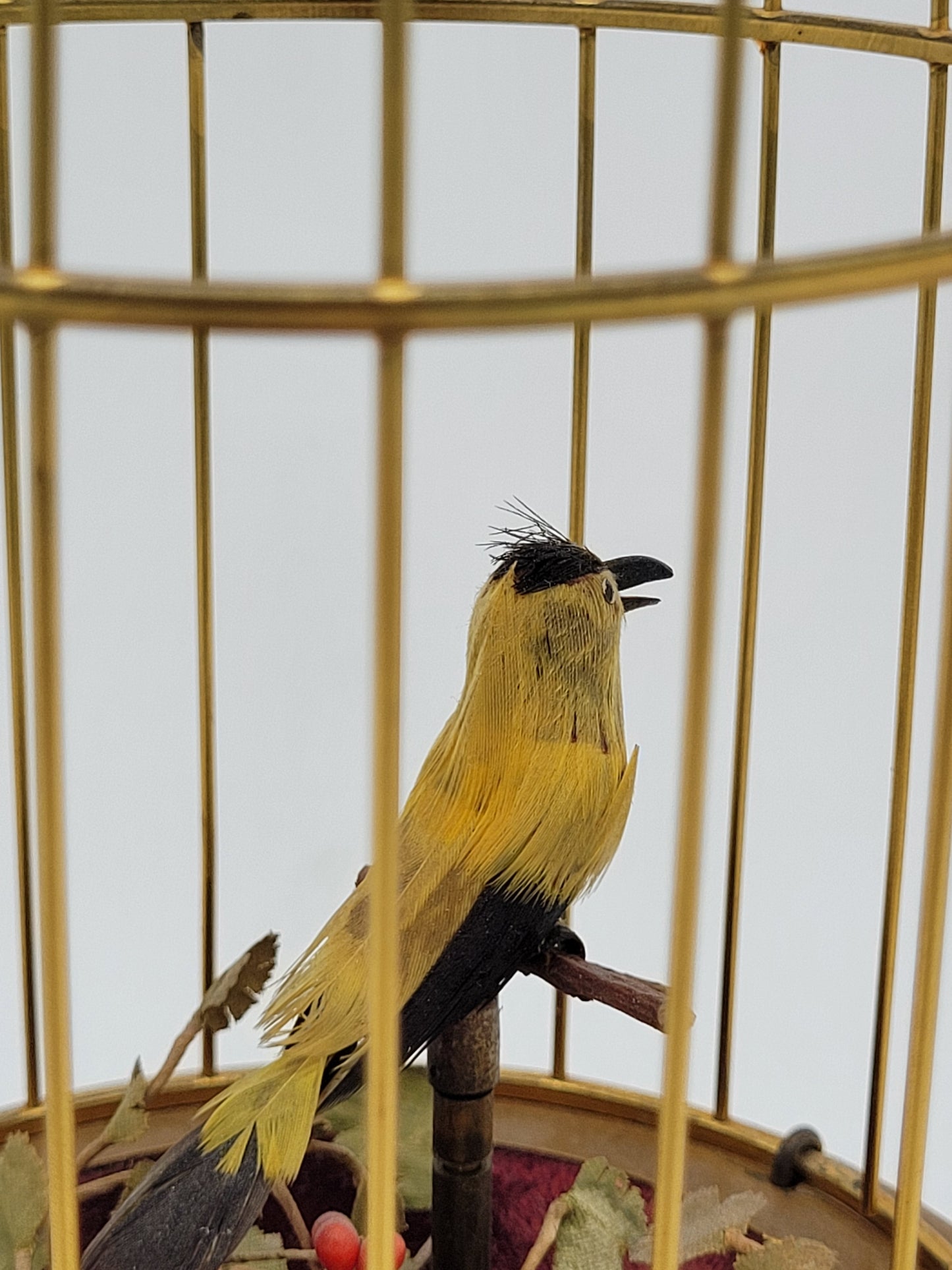 Singvogelautomat Spieluhr Griesbaum Singender Vogel im Käfig Vintage