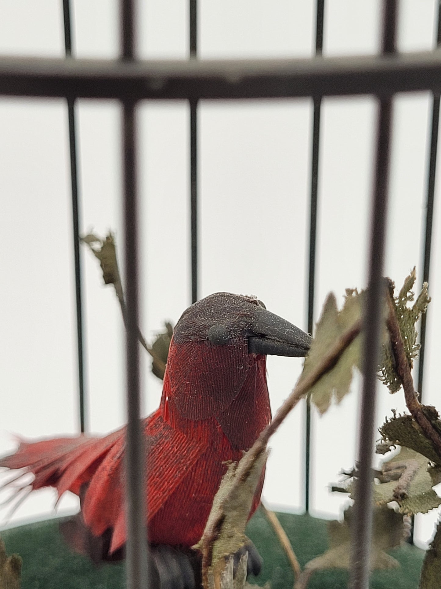 Singvogelautomat Spieluhr Griesbaum Singender Vogel im Käfig Vintage