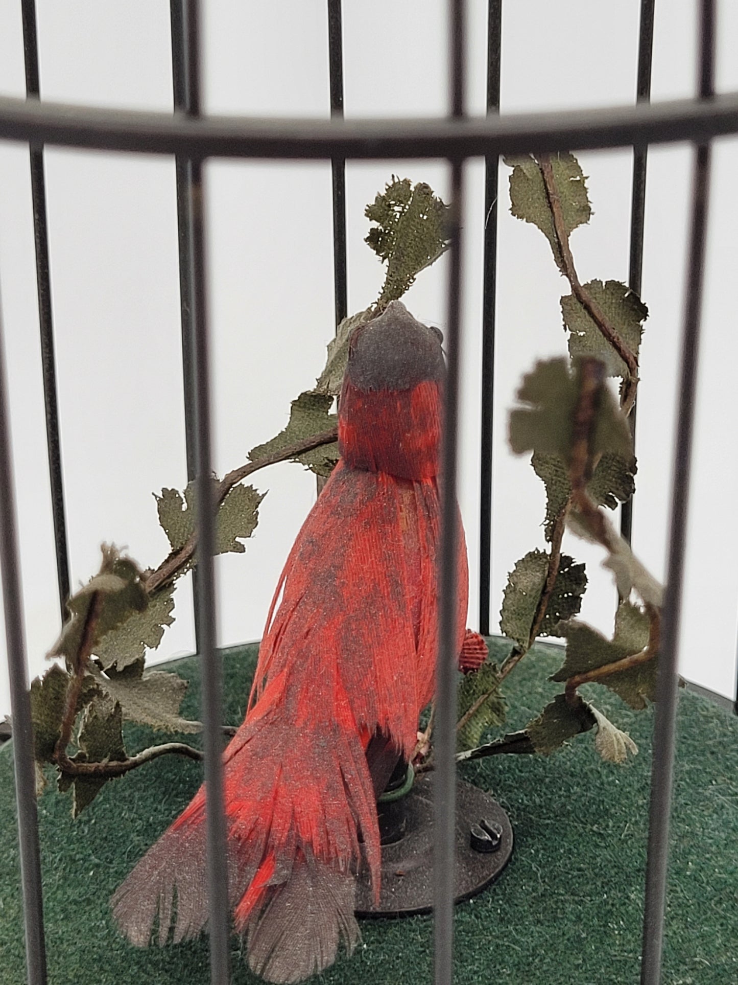 Singvogelautomat Spieluhr Griesbaum Singender Vogel im Käfig Vintage