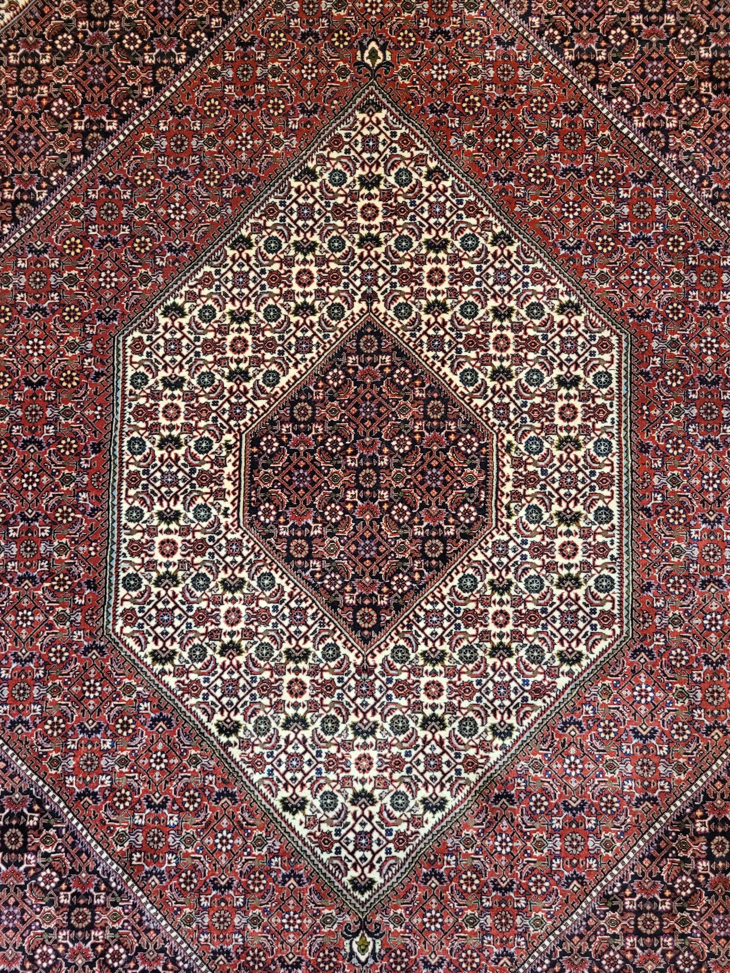 Bidjar Teppich Korkwolle fein klassisches Medaillon