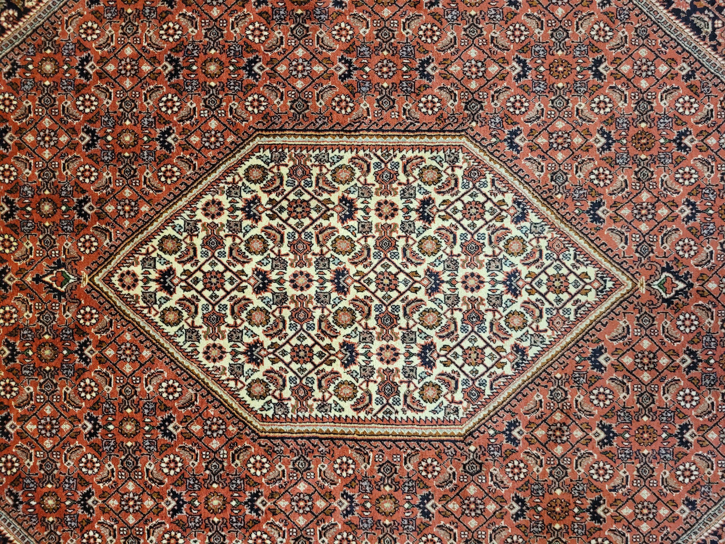 Bidjor Teppich Korkwolle feine Handknüpfung geometrisches Design