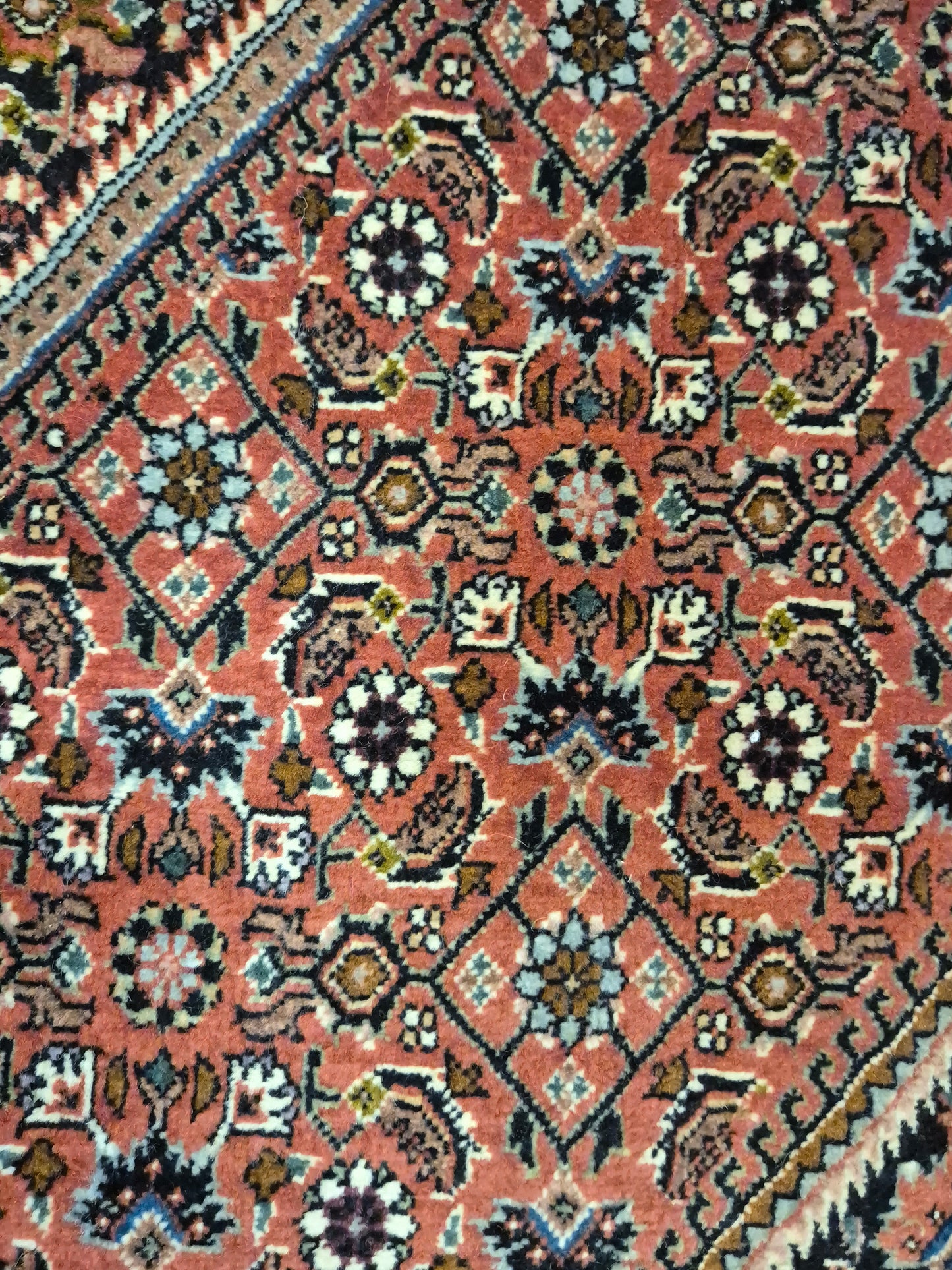 Bidjar Teppich Korkwolle feine Knüpfung geometrisches Medaillon