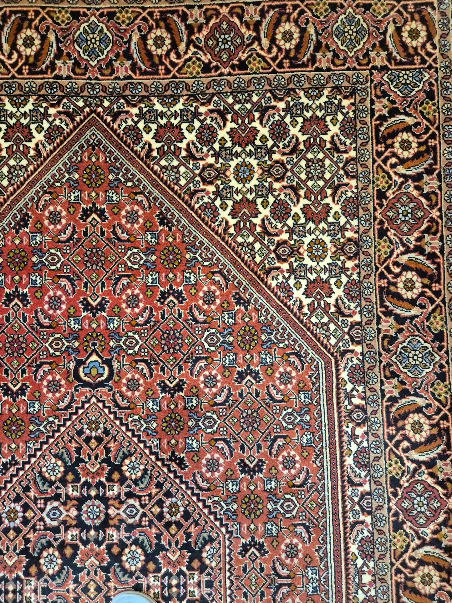 Bidjar Teppich Korkwolle Medaillon florales Design feine Knüpfung