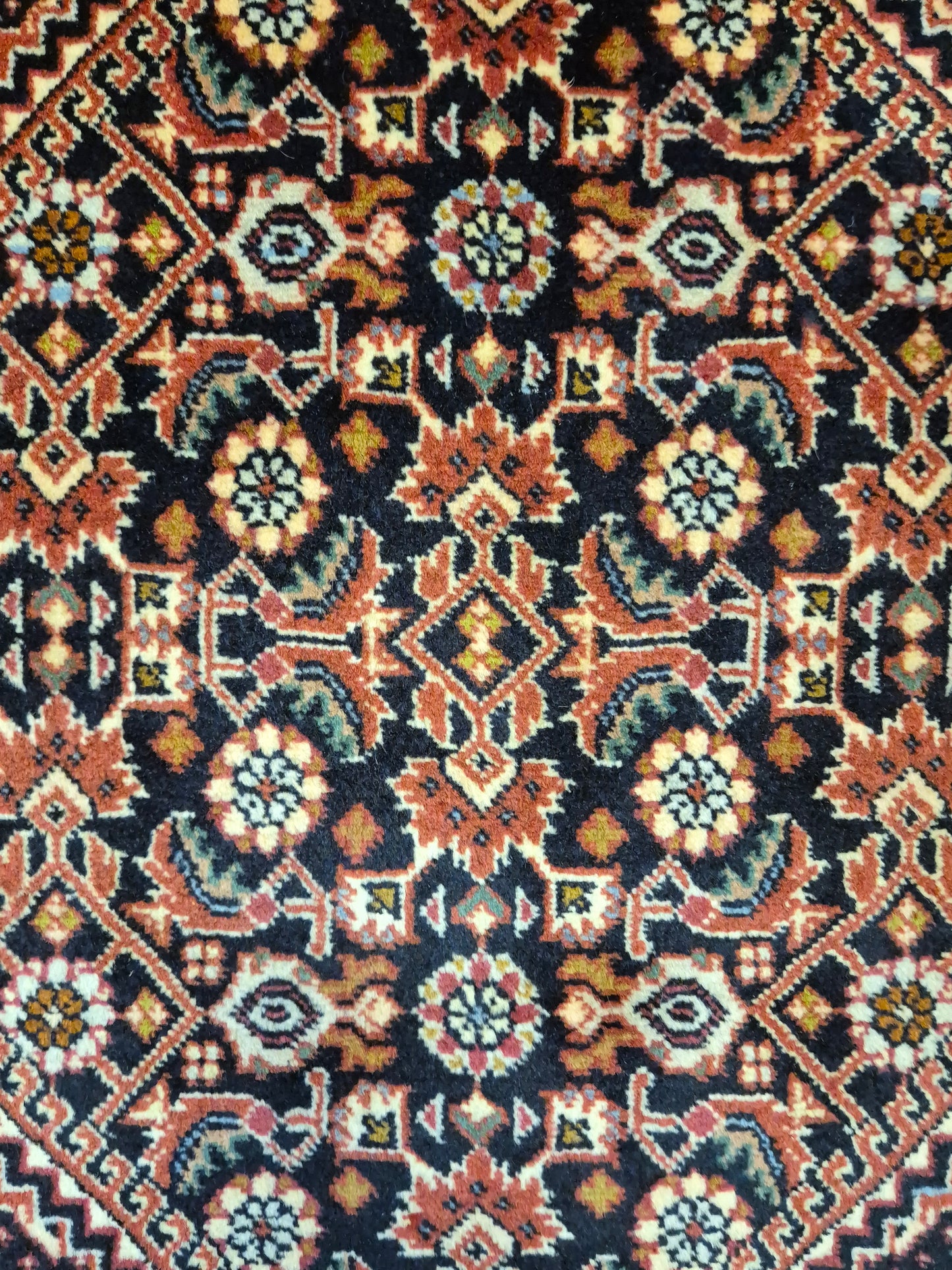 Bidjar Teppich Korkwolle Medaillon florales Design feine Knüpfung