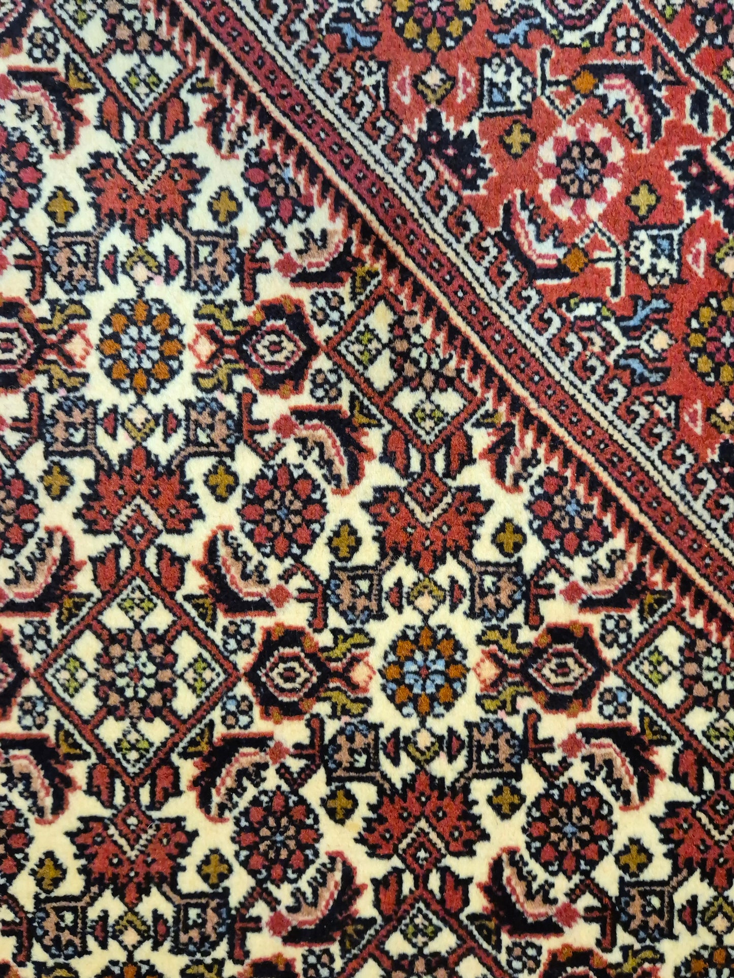 Bidjar Teppich Korkwolle Medaillon florales Design feine Knüpfung