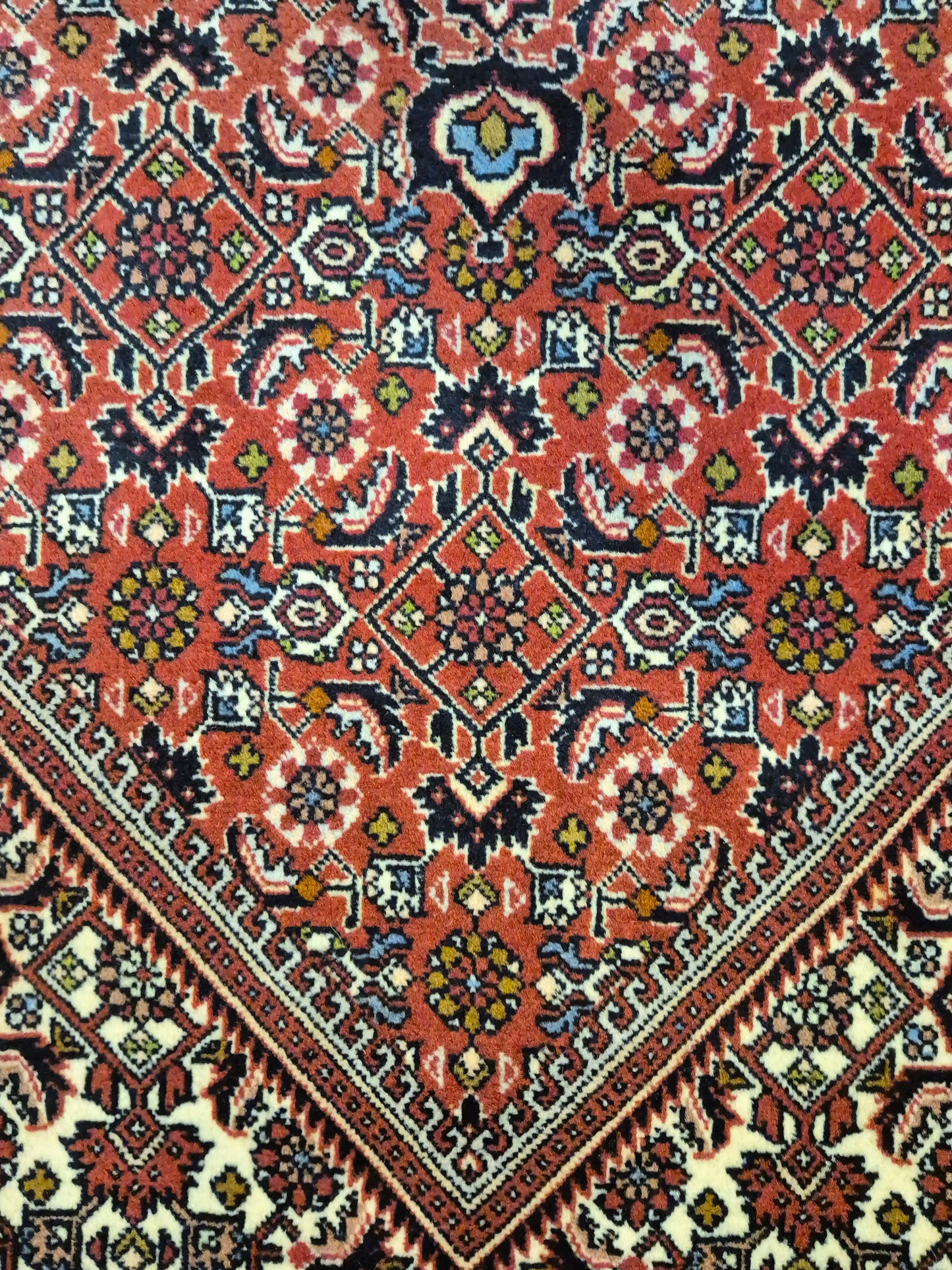 Bidjar Teppich Korkwolle Medaillon florales Design feine Knüpfung