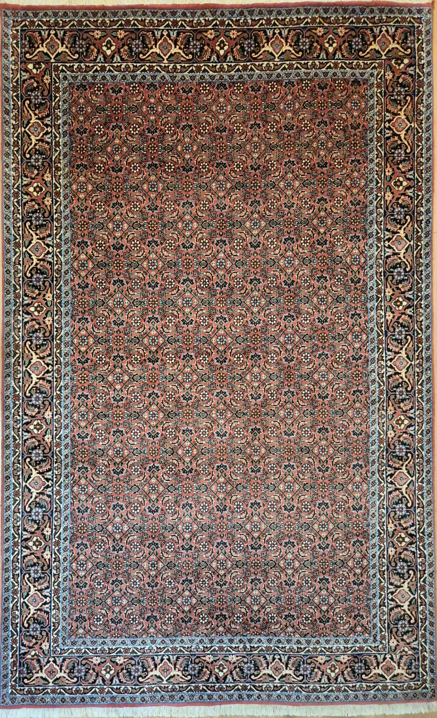 Bidjar Teppich Korkwolle Allover-Muster feine Knüpfung