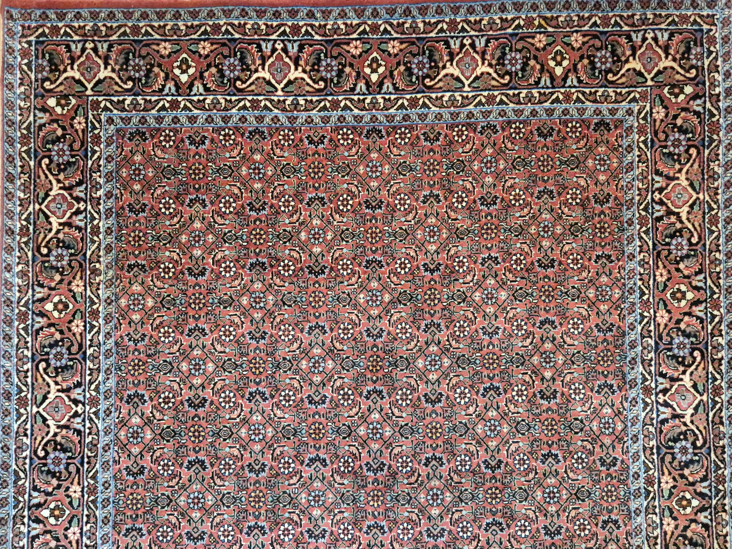 Bidjar Teppich Korkwolle Allover-Muster feine Knüpfung