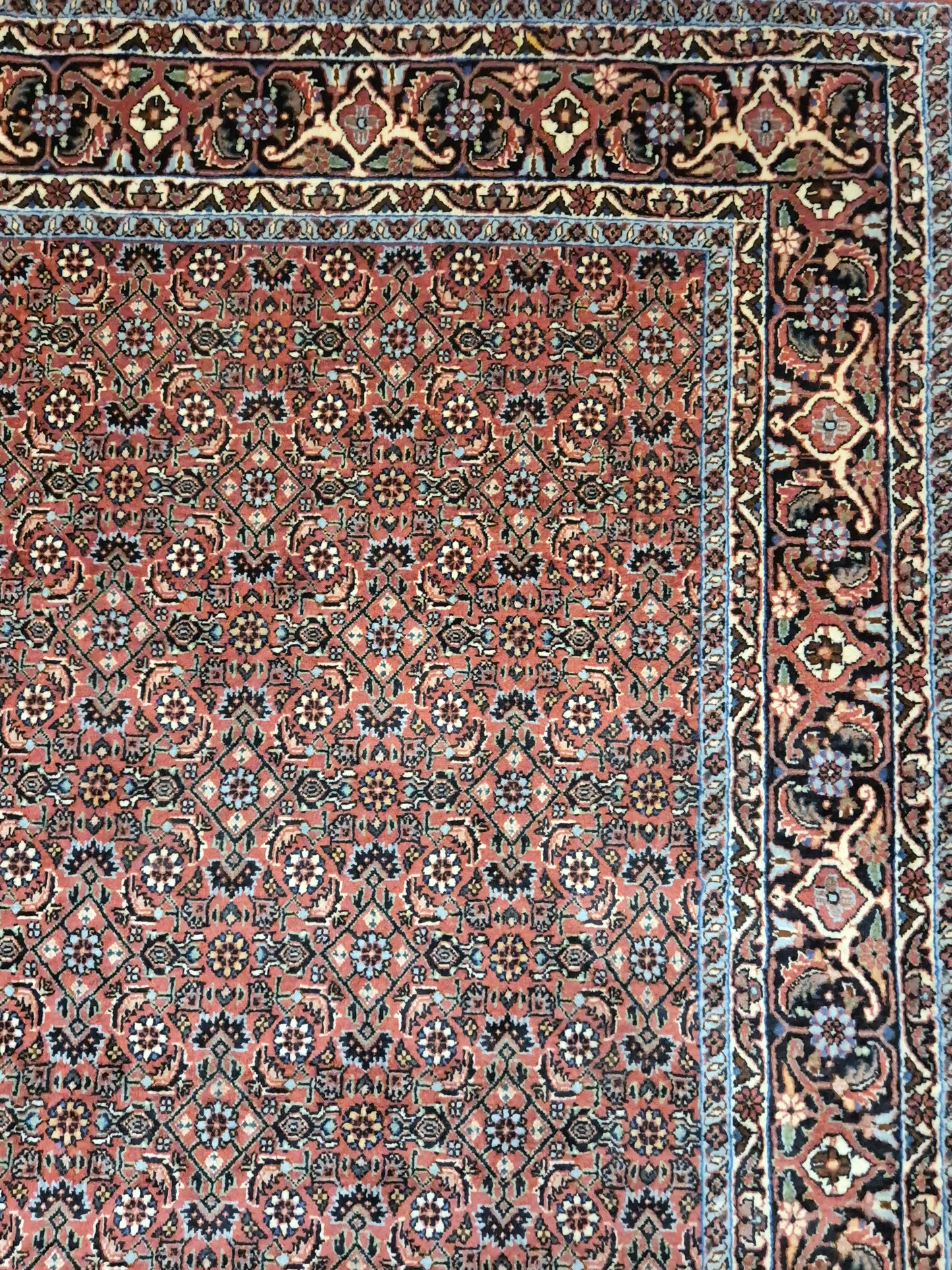 Bidjar Teppich Korkwolle Allover-Muster feine Knüpfung