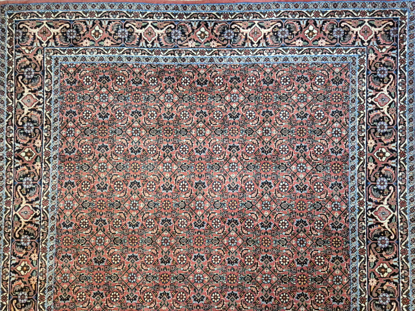 Bidjar Teppich Korkwolle Allover-Muster feine Knüpfung