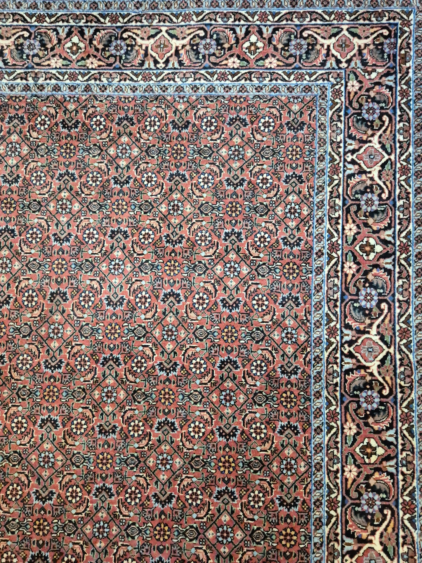 Bidjar Teppich Korkwolle Allover-Muster feine Knüpfung