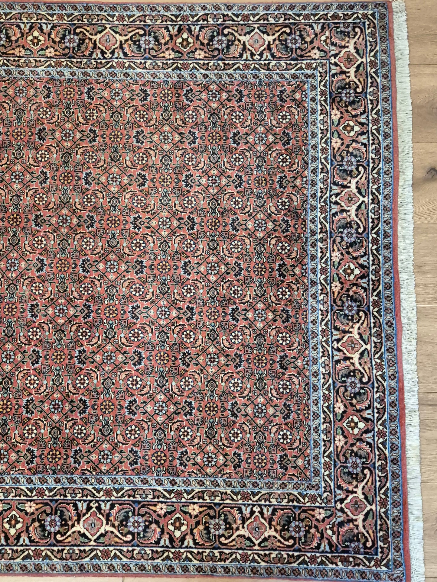 Bidjar Teppich Korkwolle Allover-Muster feine Knüpfung