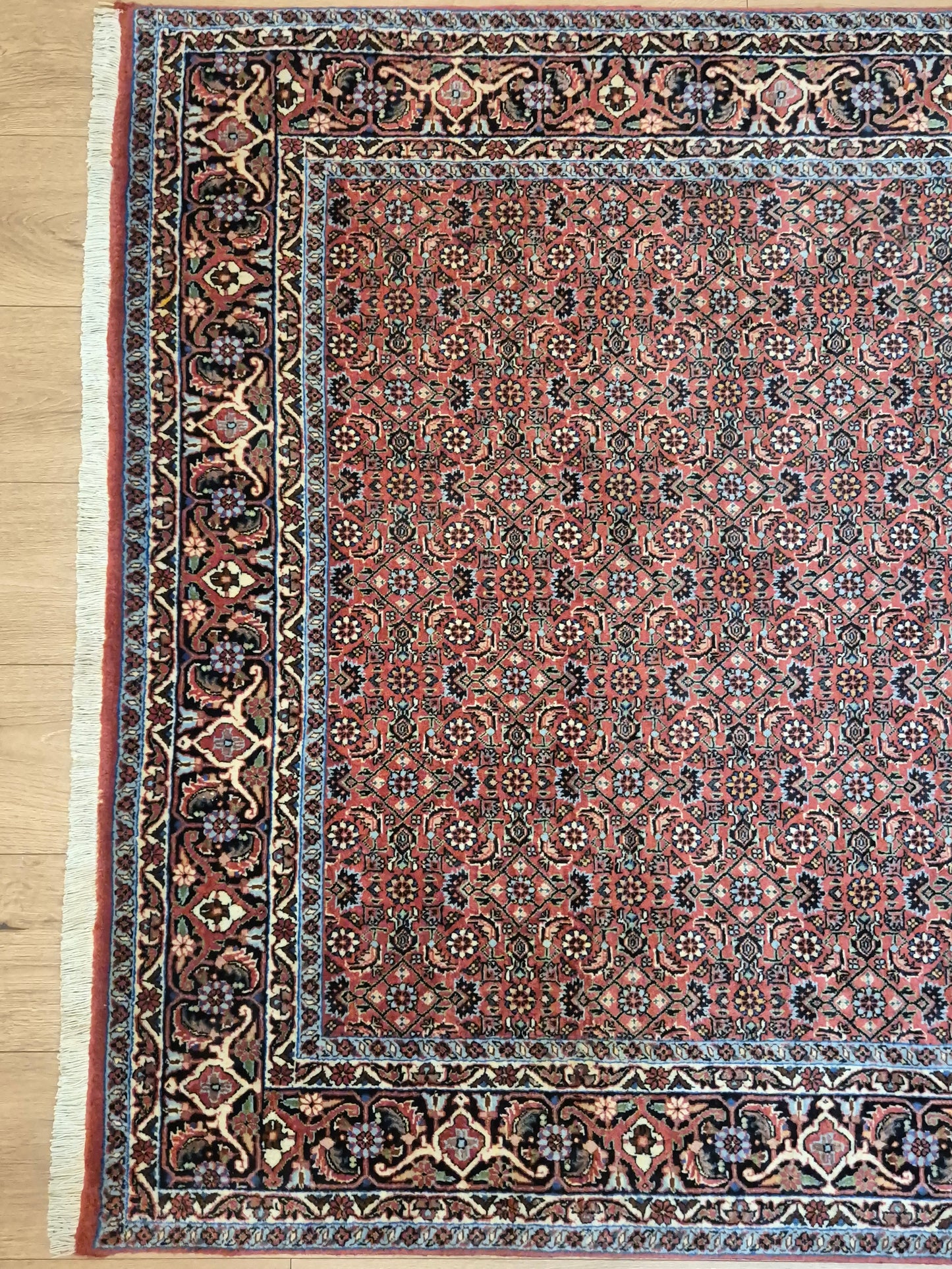 Bidjar Teppich Korkwolle Allover-Muster feine Knüpfung