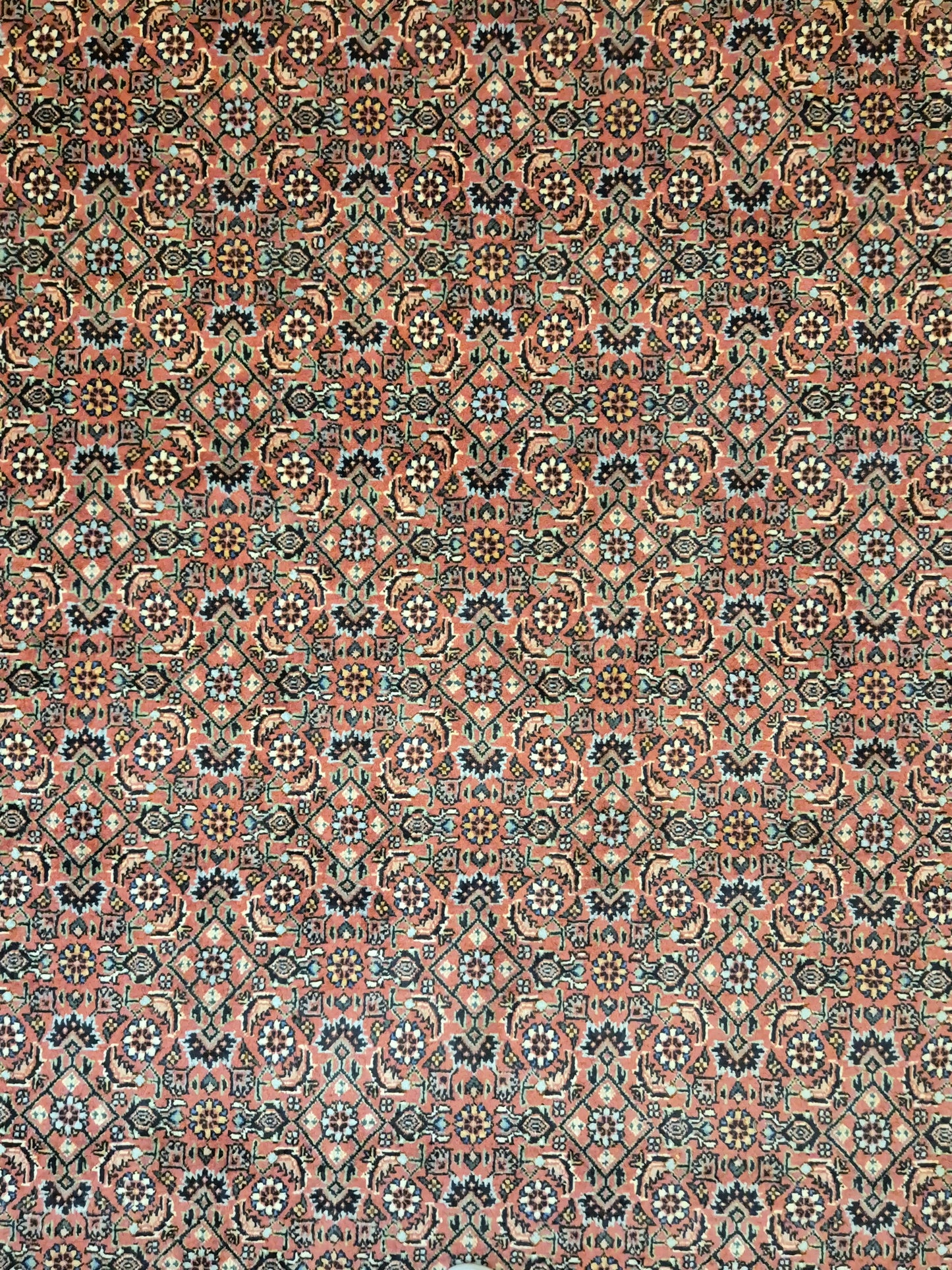 Bidjar Teppich Korkwolle Allover-Muster feine Knüpfung