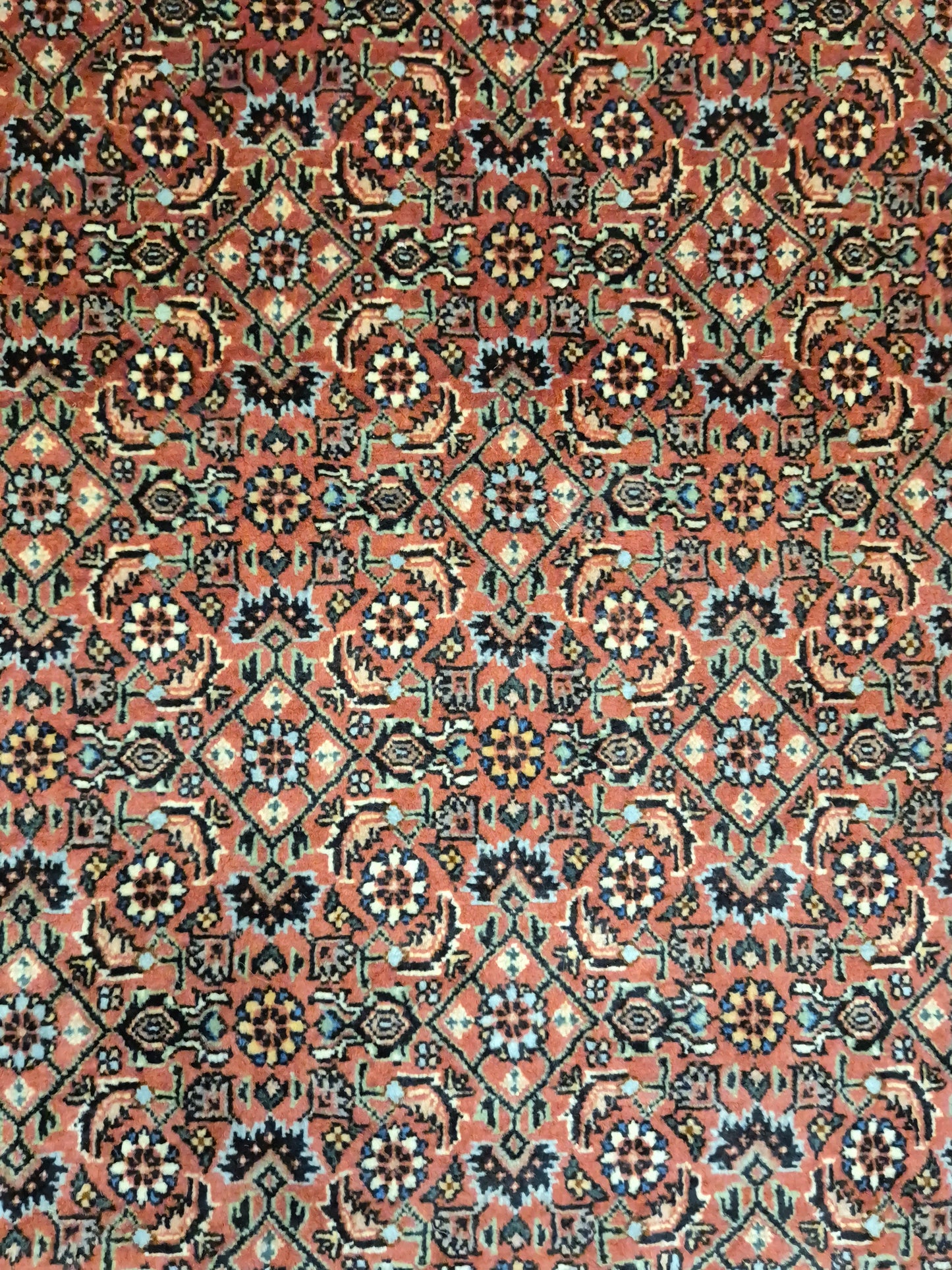 Bidjar Teppich Korkwolle Allover-Muster feine Knüpfung