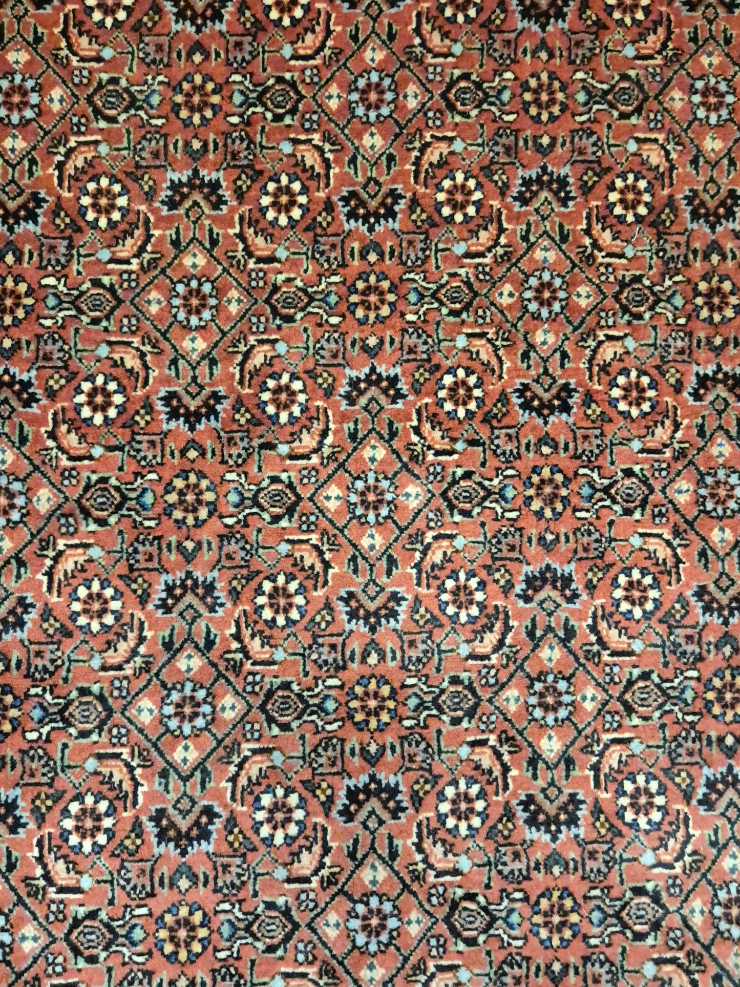 Bidjar Teppich Korkwolle Allover-Muster feine Knüpfung