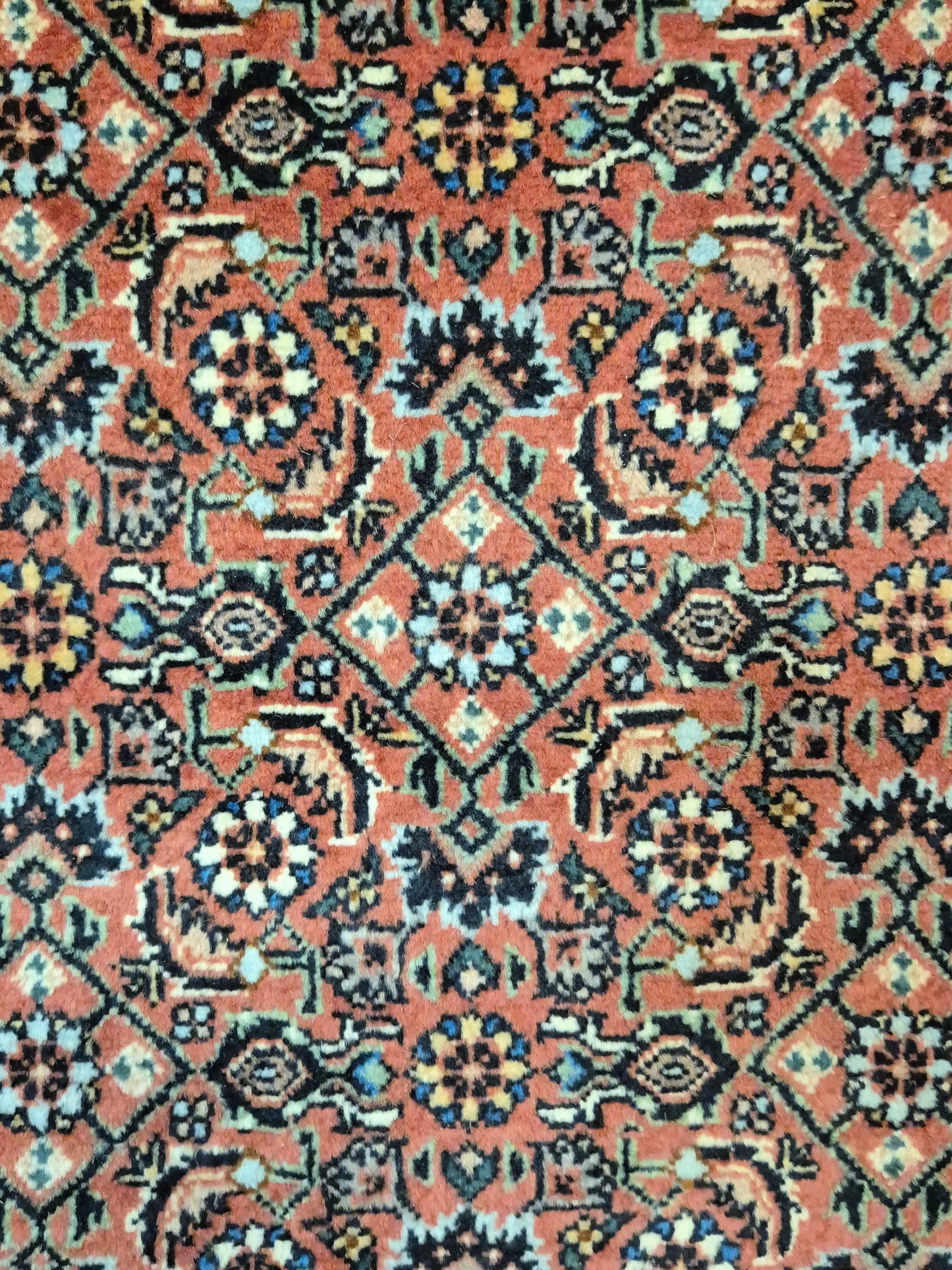 Bidjar Teppich Korkwolle Allover-Muster feine Knüpfung