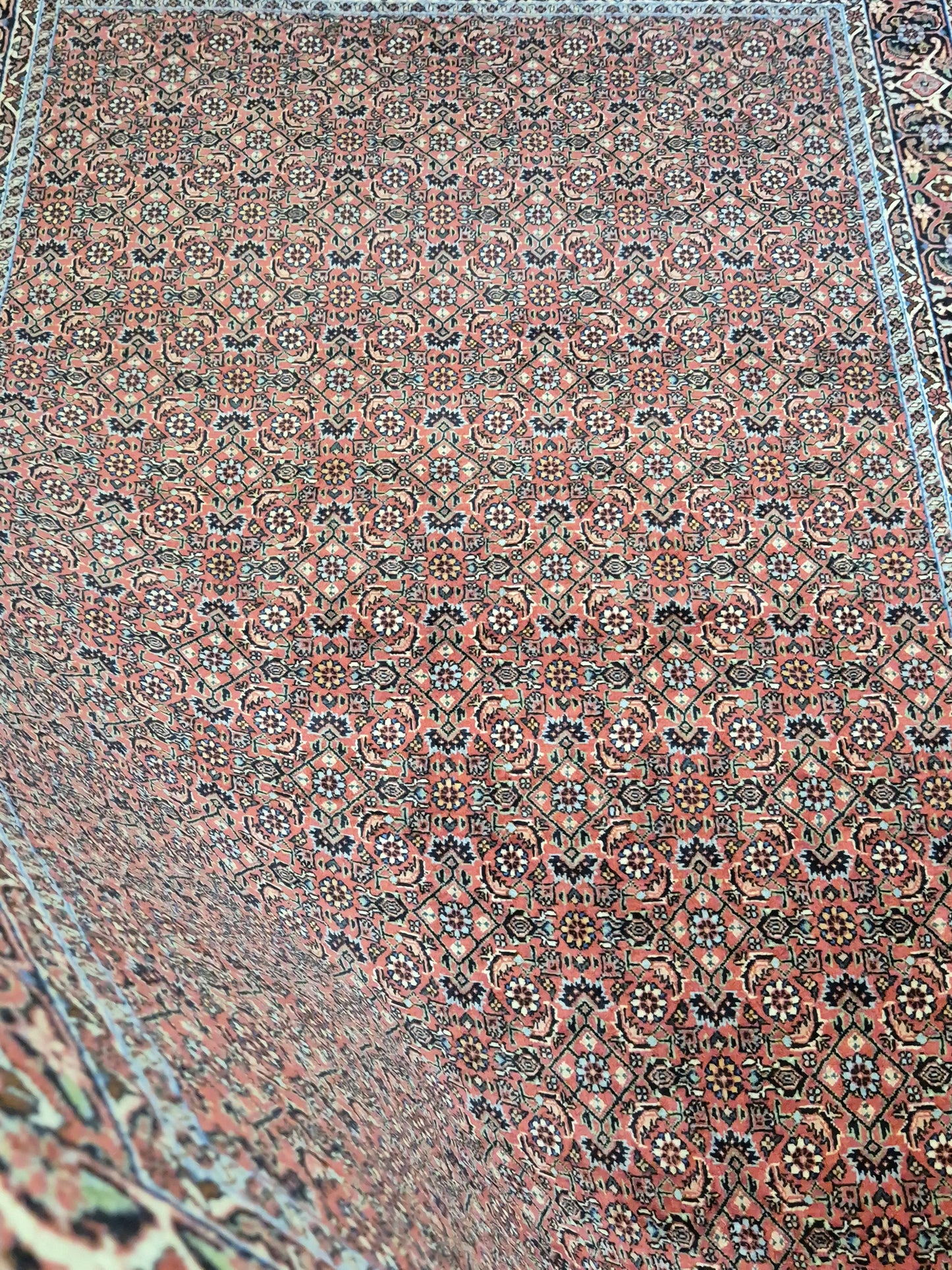 Bidjar Teppich Korkwolle Allover-Muster feine Knüpfung