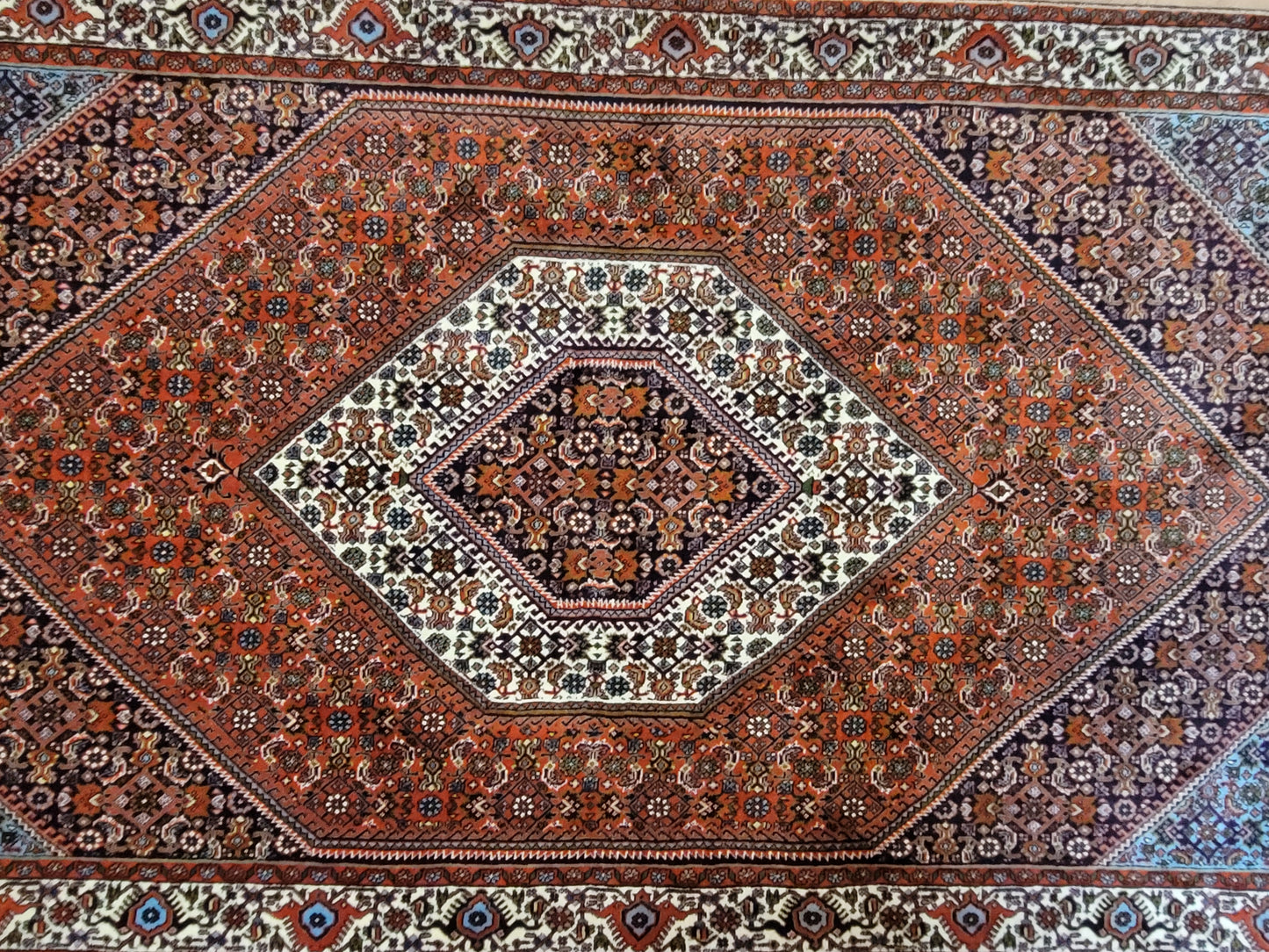 Bidjar Teppich Korkwolle feine Knüpfung Medaillon Design