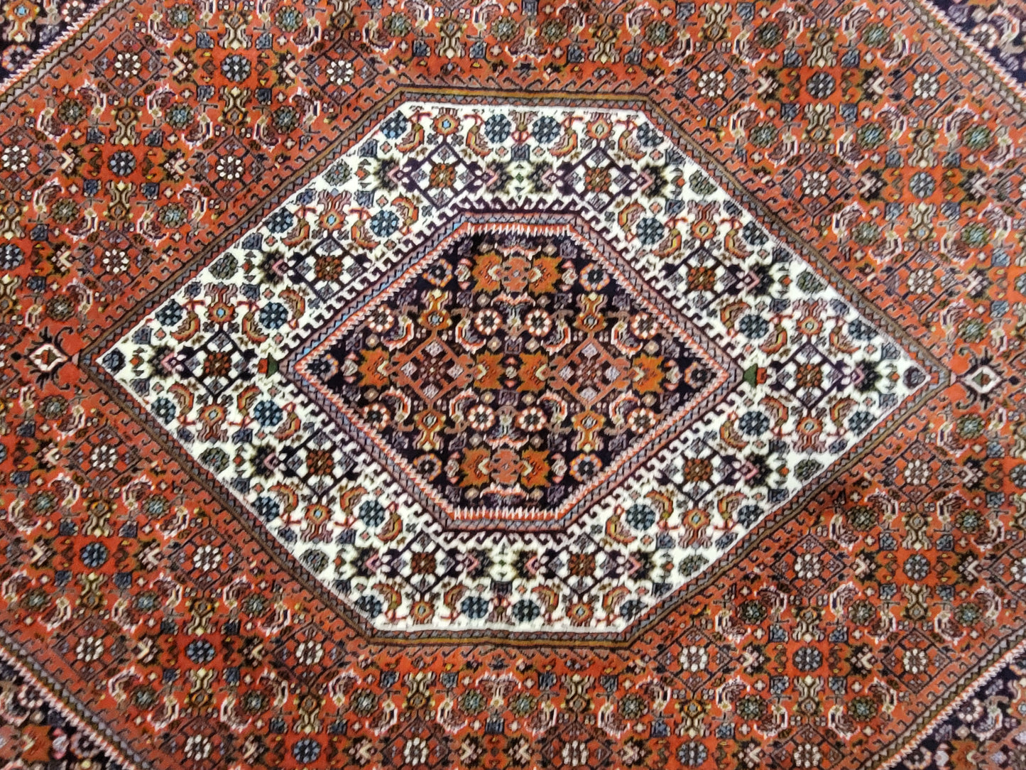 Bidjar Teppich Korkwolle feine Knüpfung Medaillon Design