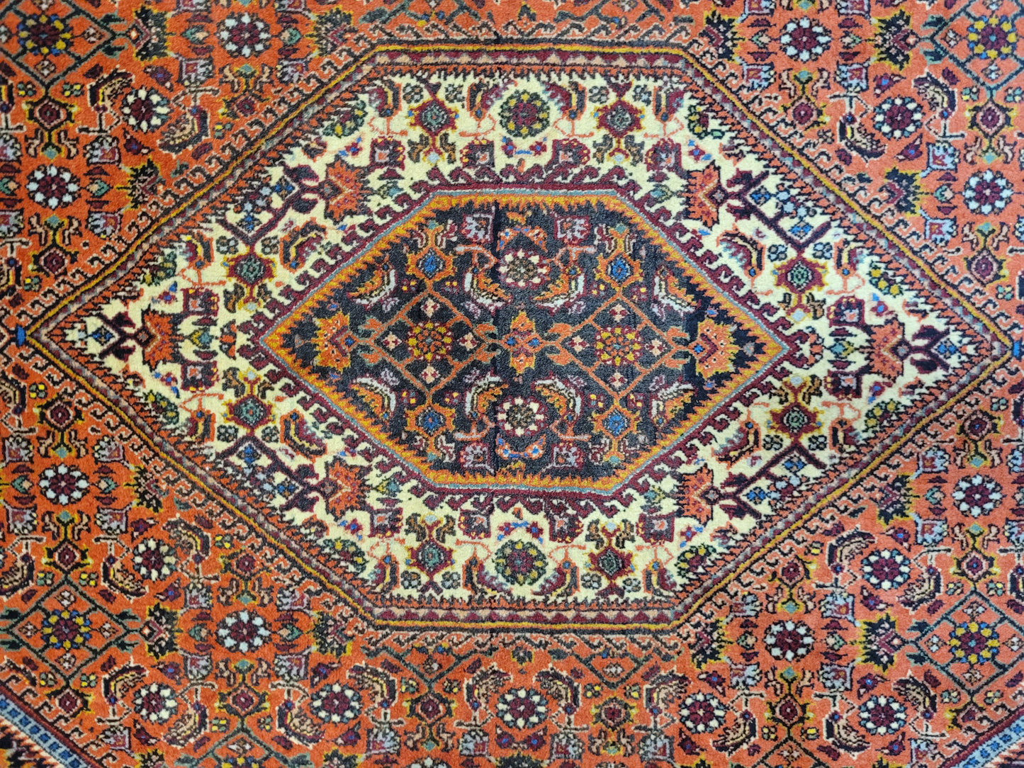 Bidjar Teppich Korkwolle kräftige Knüpfung mit Medaillon