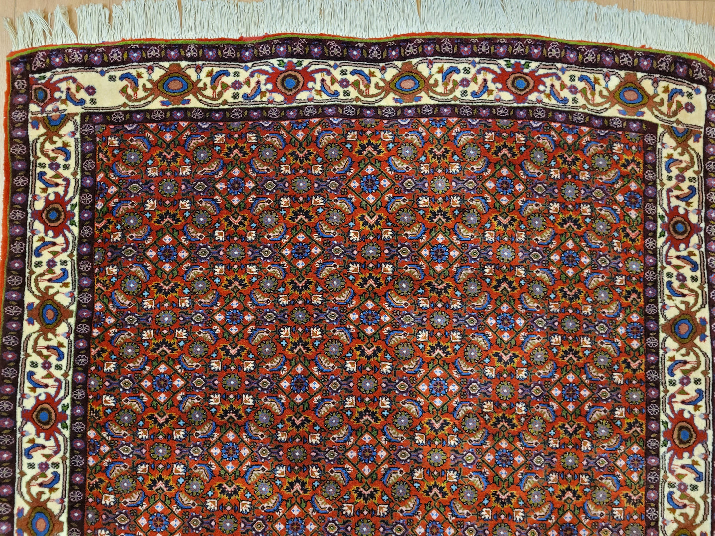 Bidjar Teppich Korkwolle Allover Blütenmuster feine Knüpfkunst