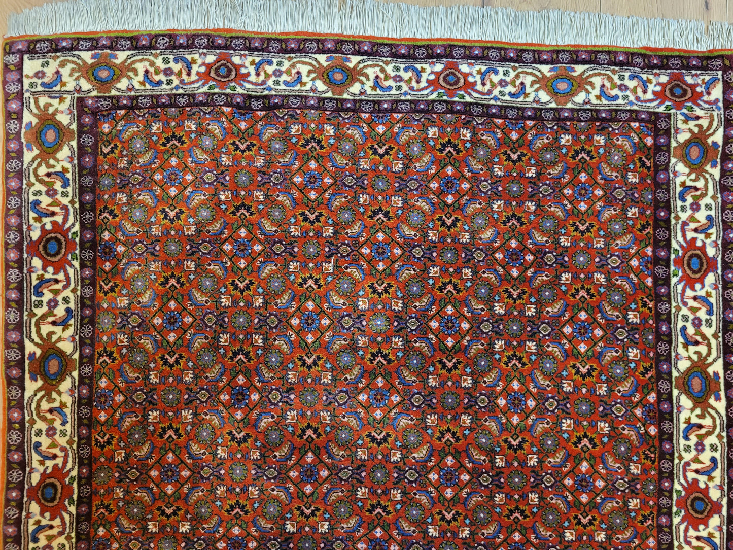 Bidjar Teppich Korkwolle Allover Blütenmuster feine Knüpfkunst