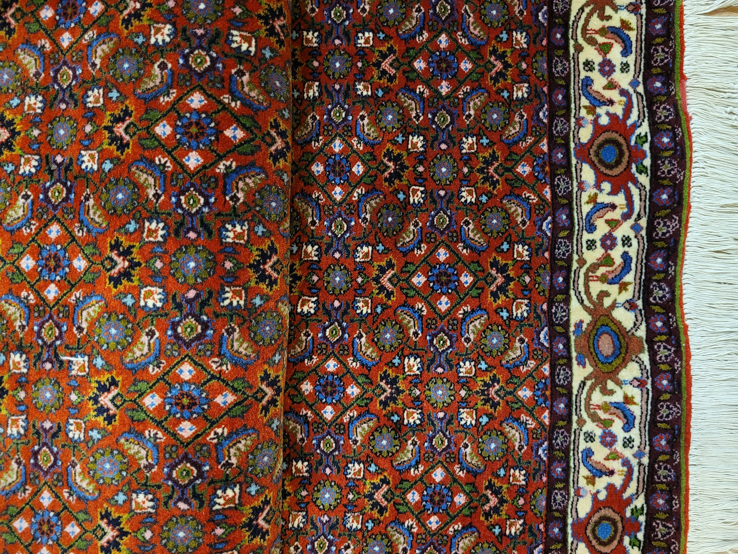 Bidjar Teppich Korkwolle Allover Blütenmuster feine Knüpfkunst