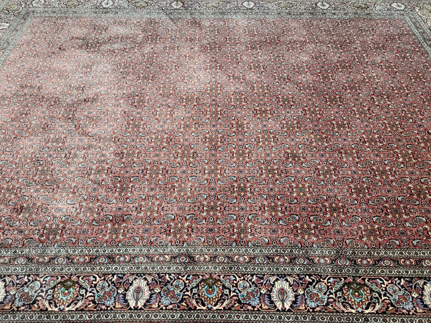 Bidjar Teppich Korkwolle mit Seide Allover Muster fein handgeknüpft