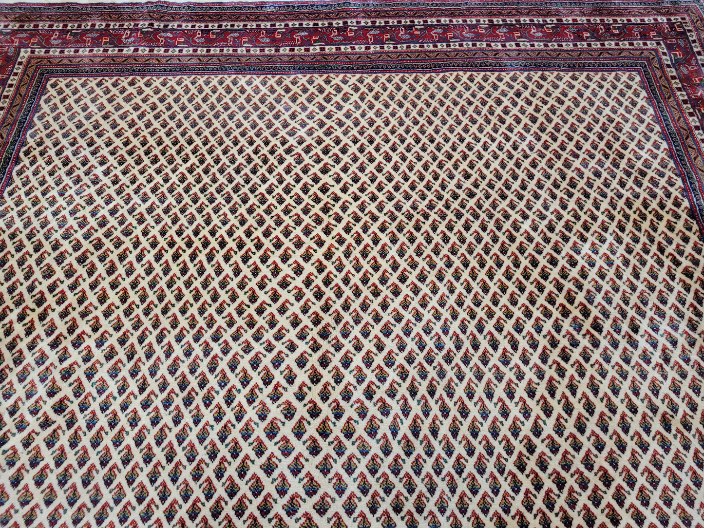 Sarough Teppich reine Wolle florales Allover Muster 280x275 cm