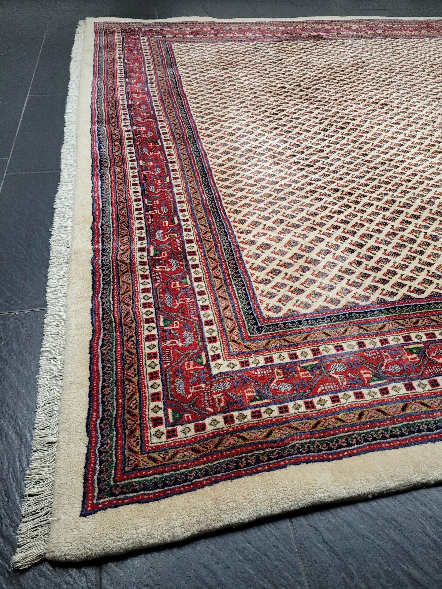 Sarough Teppich reine Wolle florales Allover Muster 280x275 cm