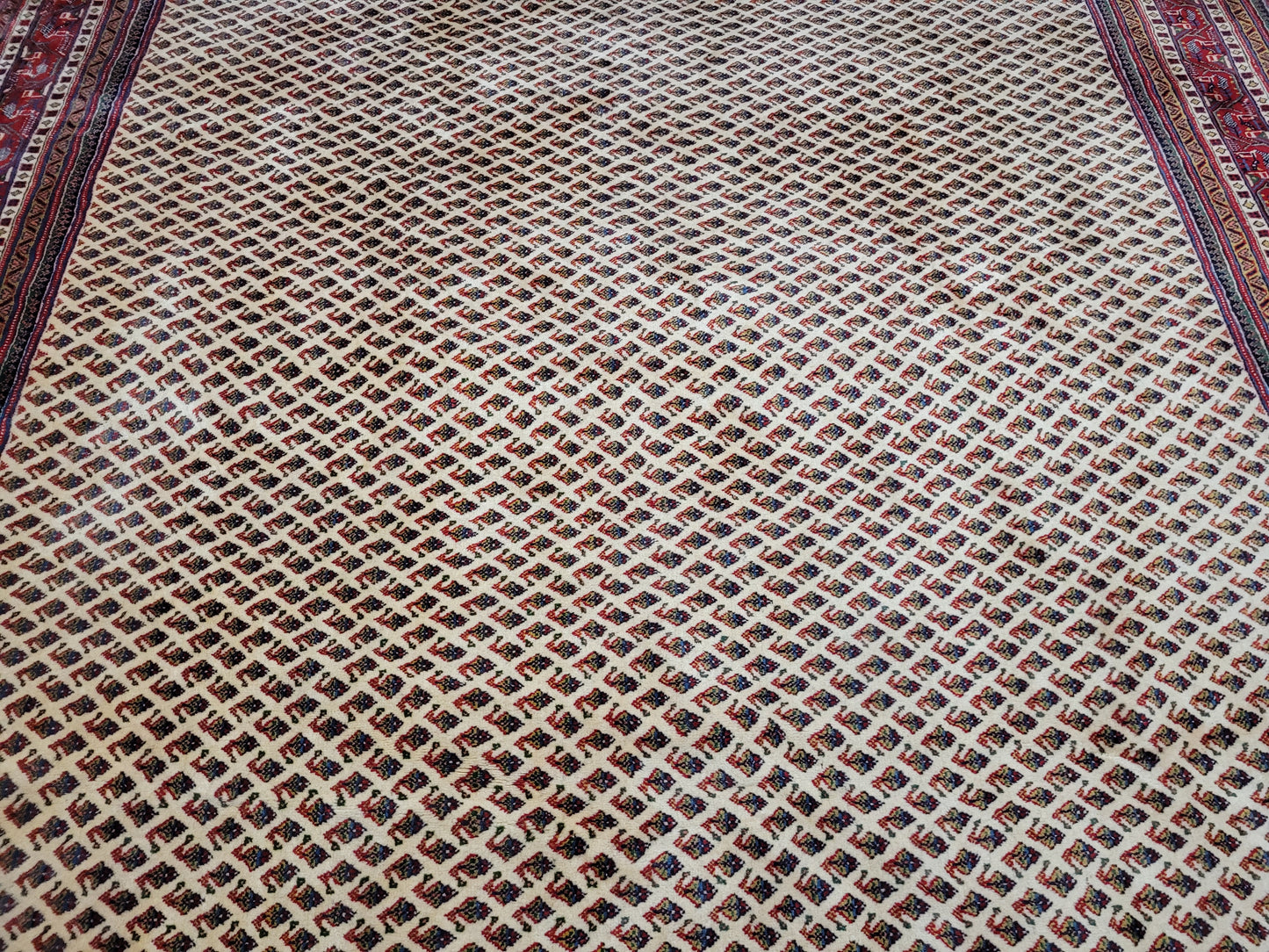 Sarough Teppich reine Wolle florales Allover Muster 280x275 cm