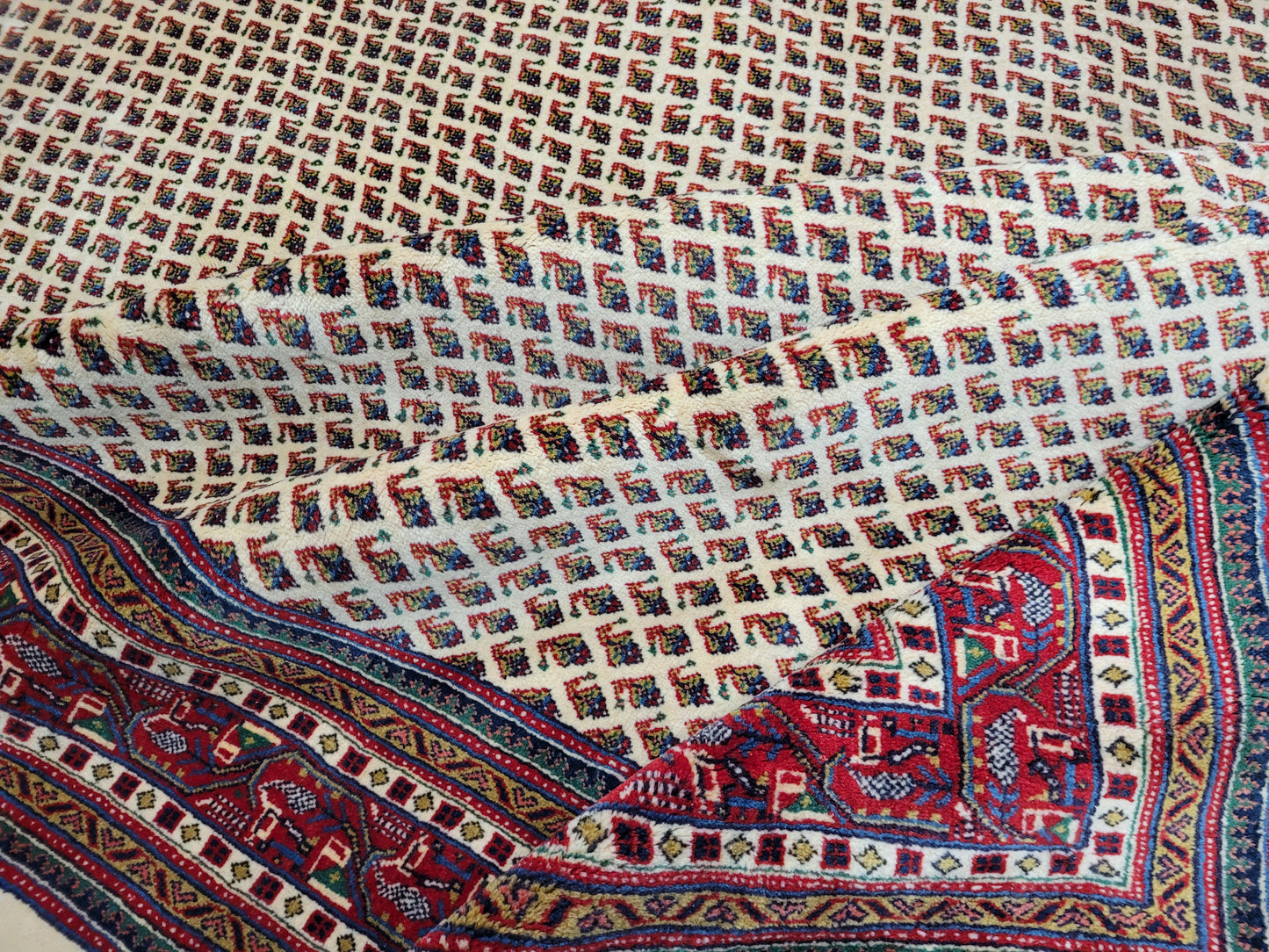 Sarough Teppich reine Wolle florales Allover Muster 280x275 cm