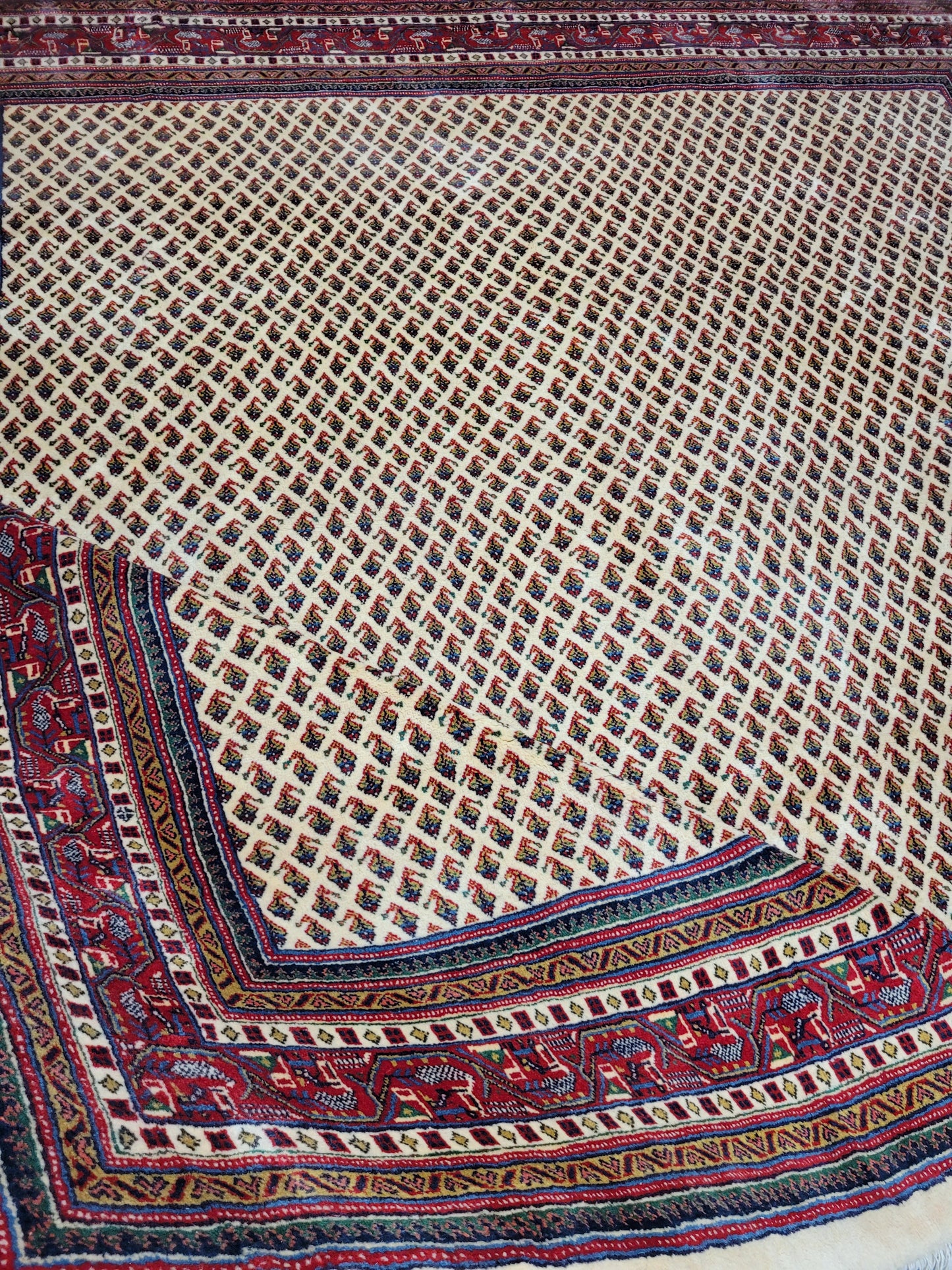 Sarough Teppich reine Wolle florales Allover Muster 280x275 cm