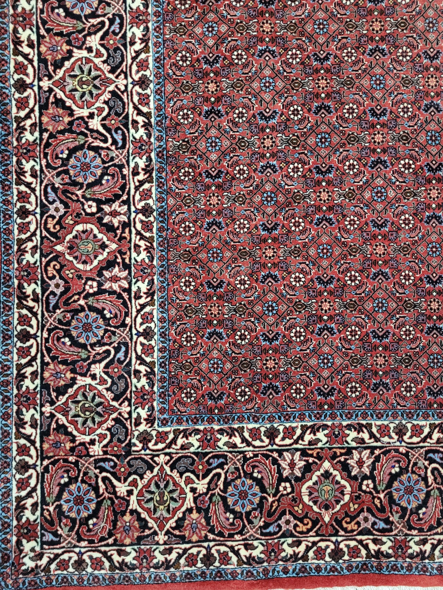 Bidjar Tekab Teppich 350x250 cm feine Korkwolle klassische Knüpfkunst