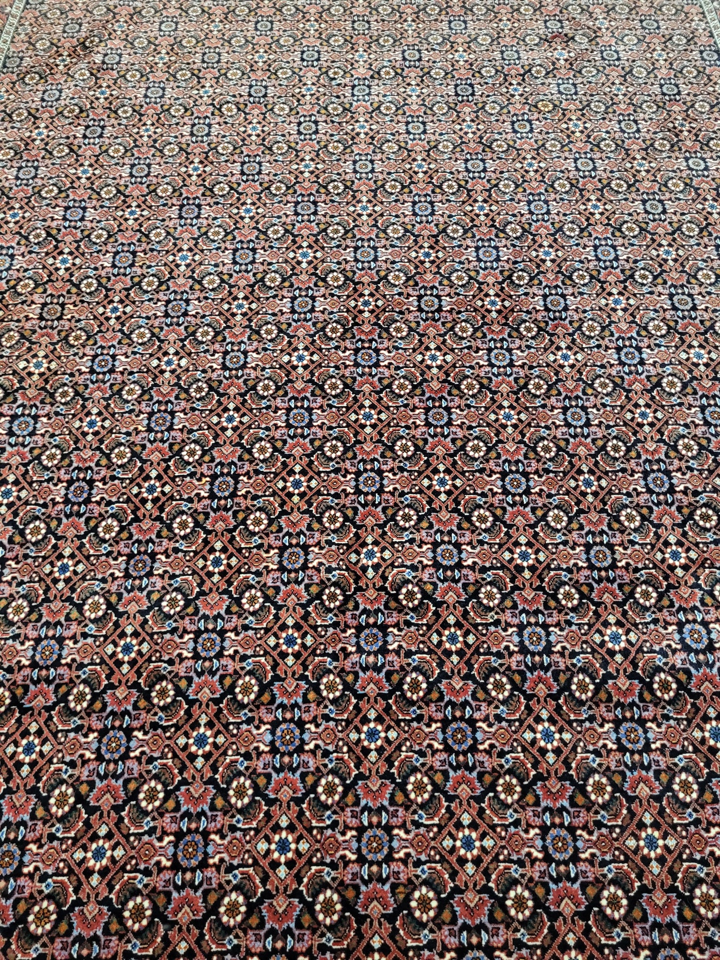 Bidjar Teppich 290x205 cm Korkwolle feine Knüpfung Herati-Muster