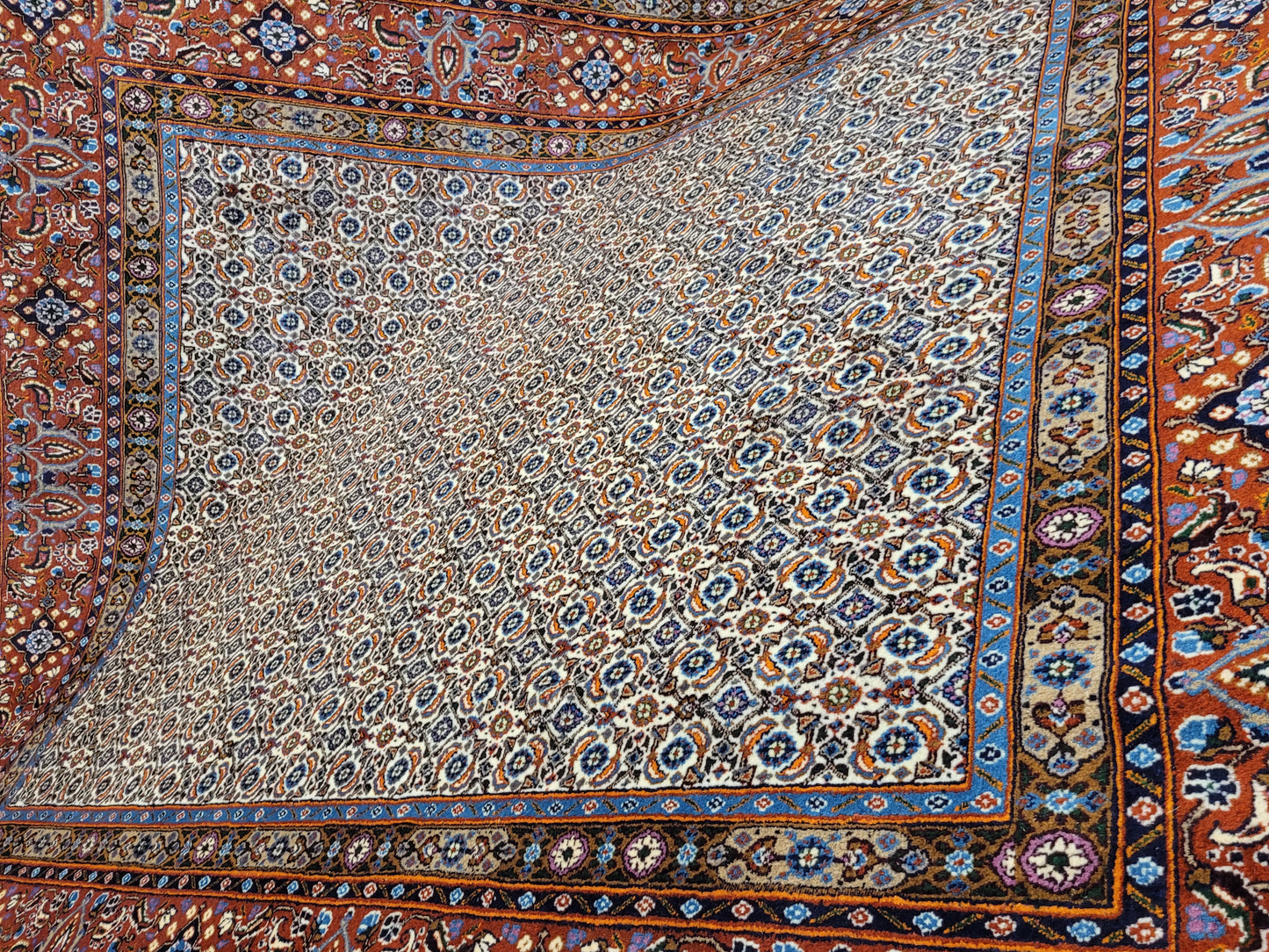 Moud Teppich 245x200 cm feine Wolle florales Allover-Muster