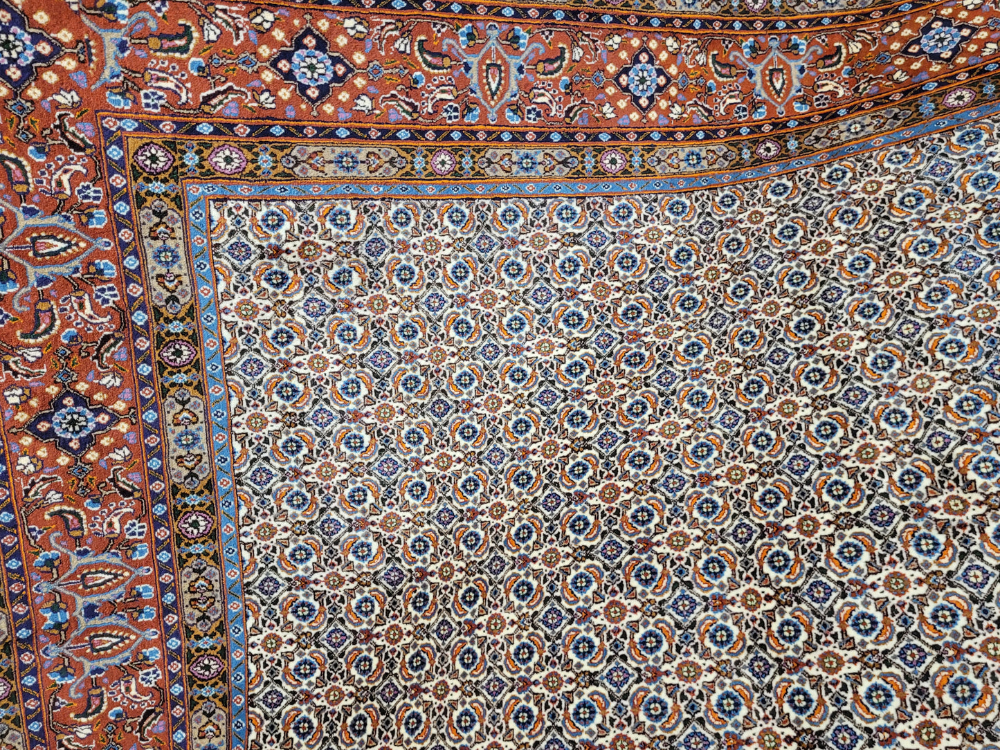 Moud Teppich 245x200 cm feine Wolle florales Allover-Muster