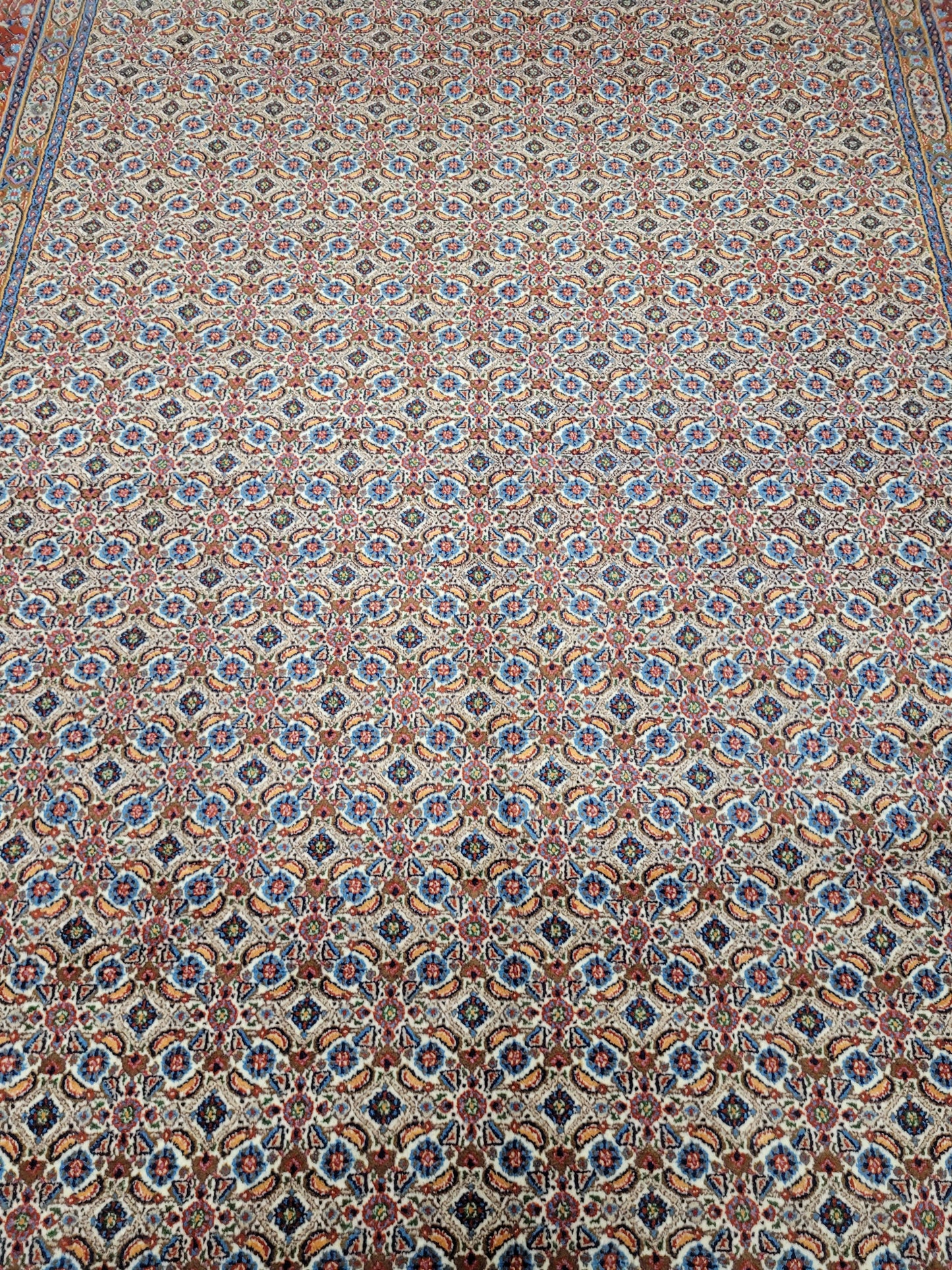 Moud Teppich 295x195 cm feine Wolle Allover-Muster