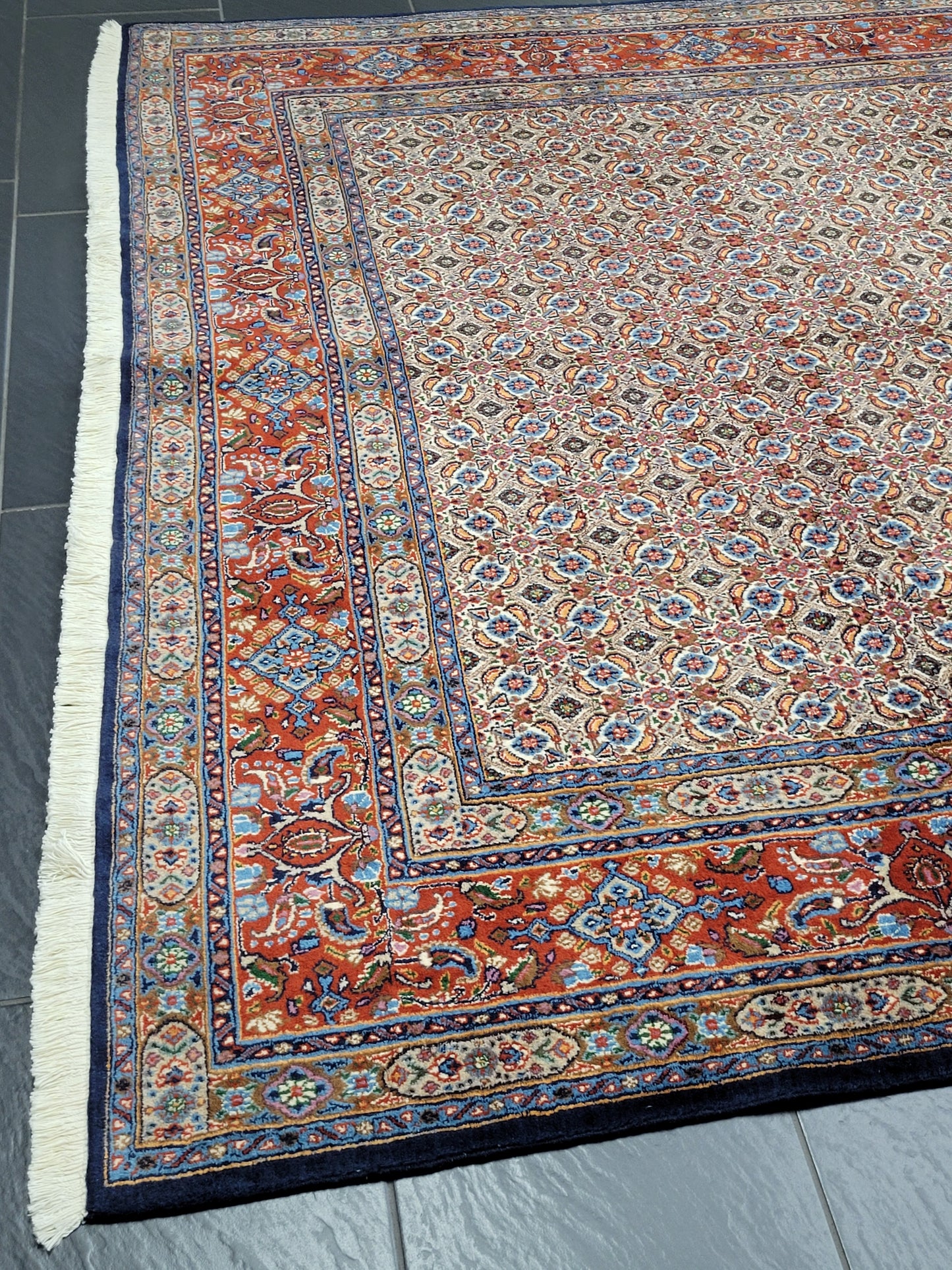 Moud Teppich 295x195 cm feine Wolle Allover-Muster