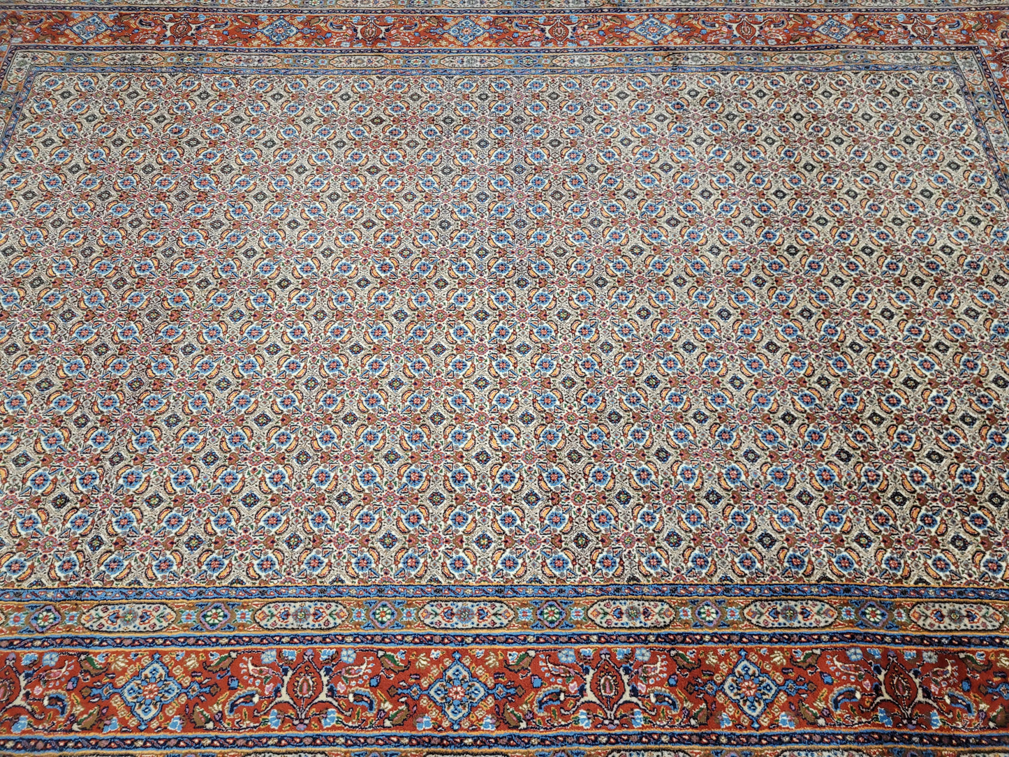 Moud Teppich 295x195 cm feine Wolle Allover-Muster